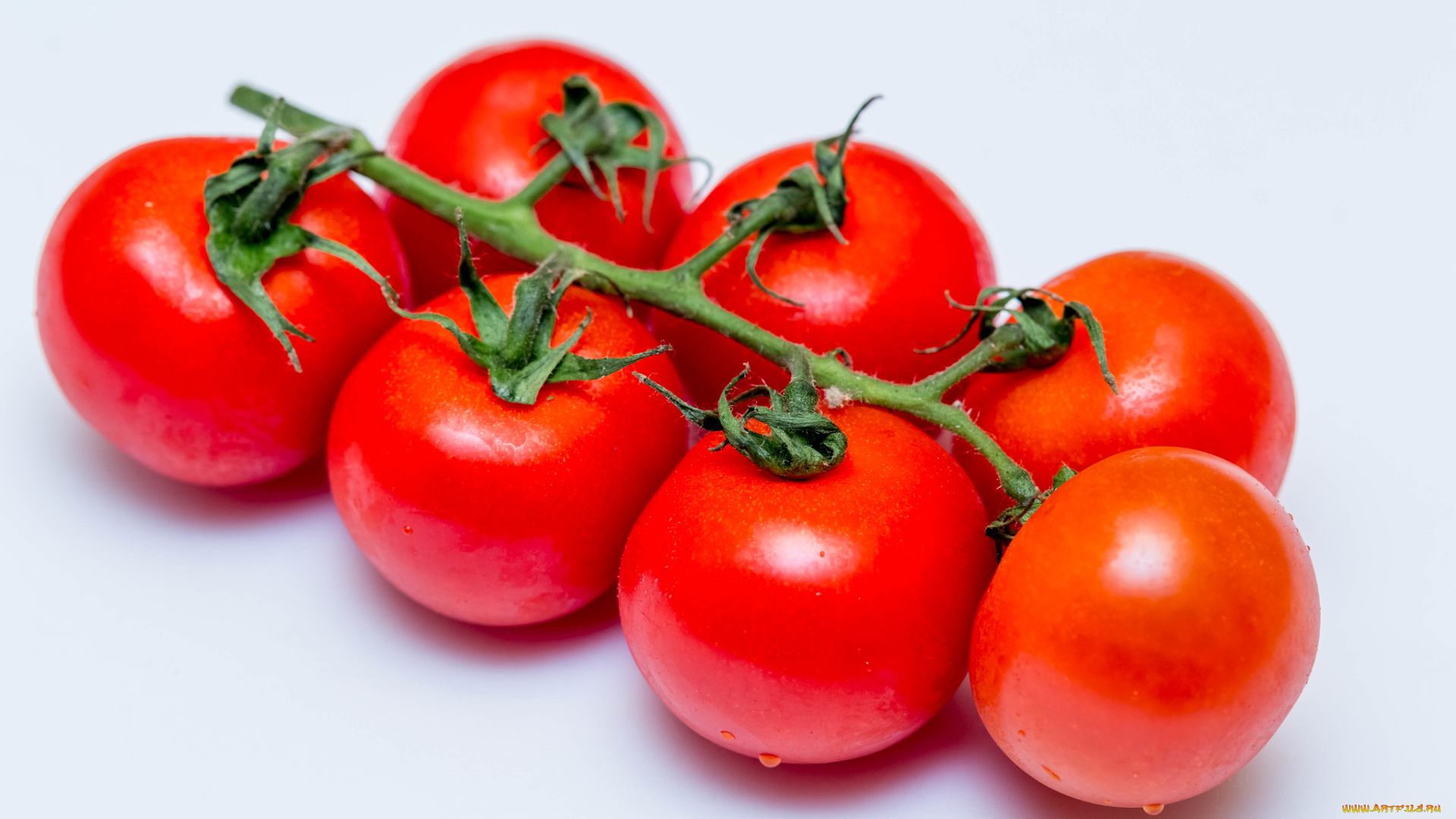 еда, помидоры, снедь