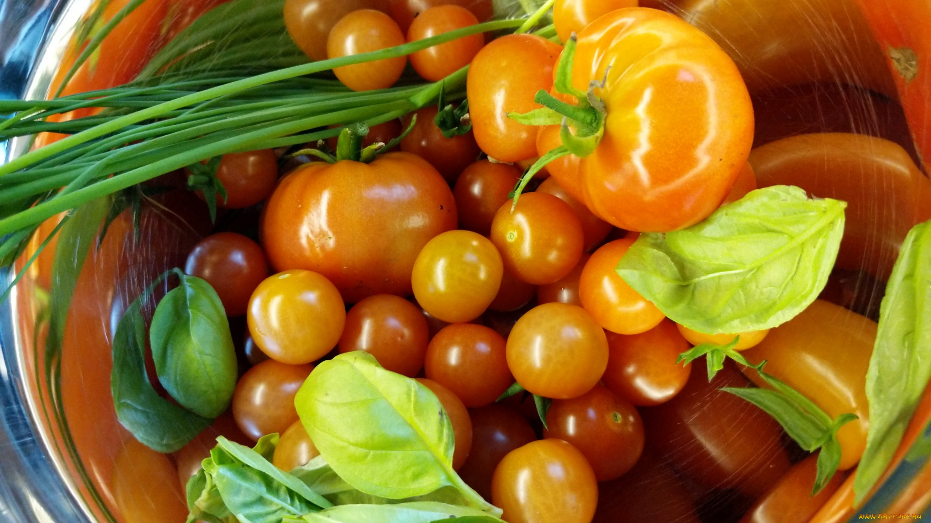 еда, помидоры, томаты, базилик