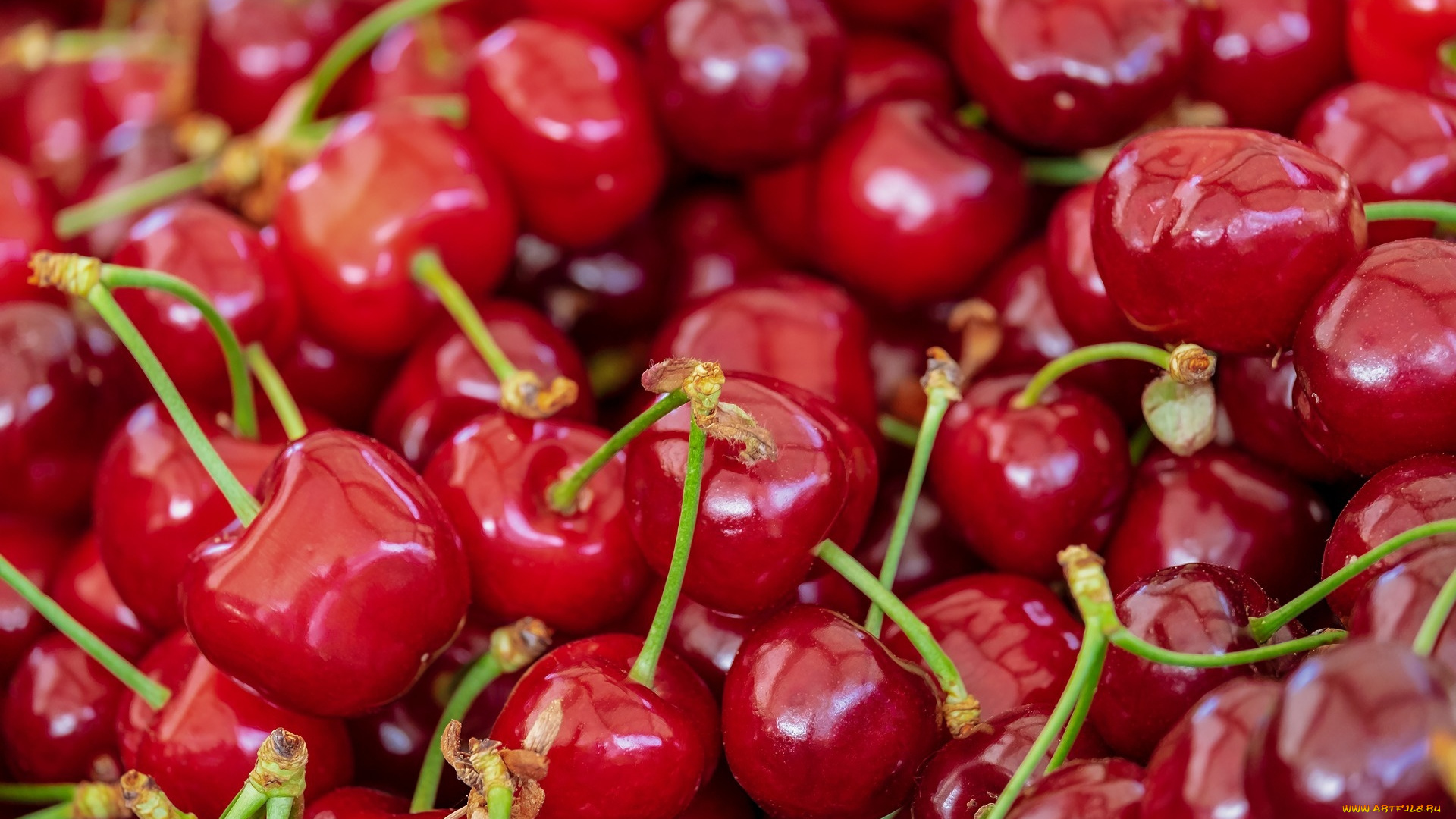 еда, вишня, , черешня, черешня