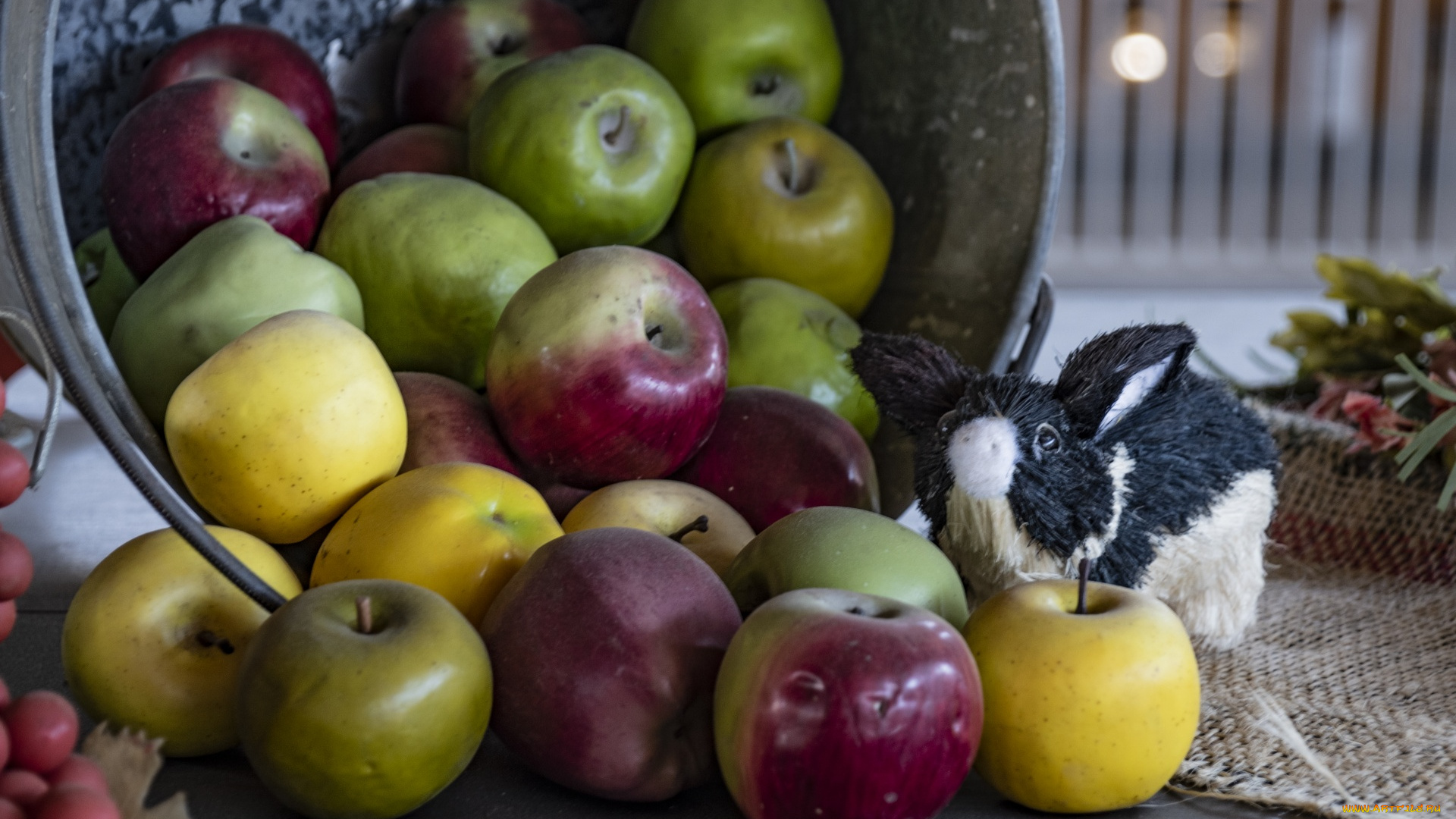 еда, яблоки, урожай