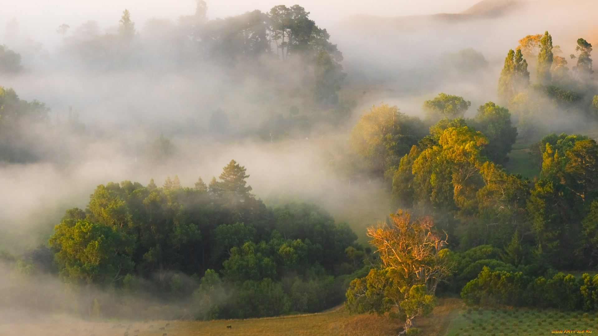 природа, пейзажи, простор
