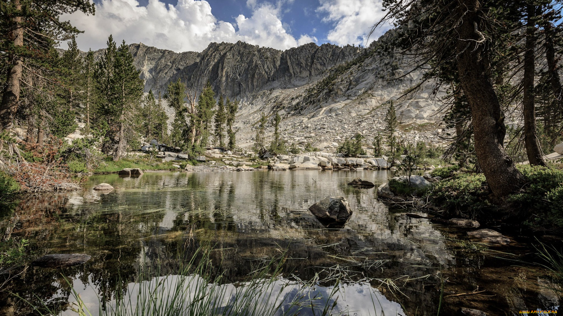 природа, реки, озера, простор