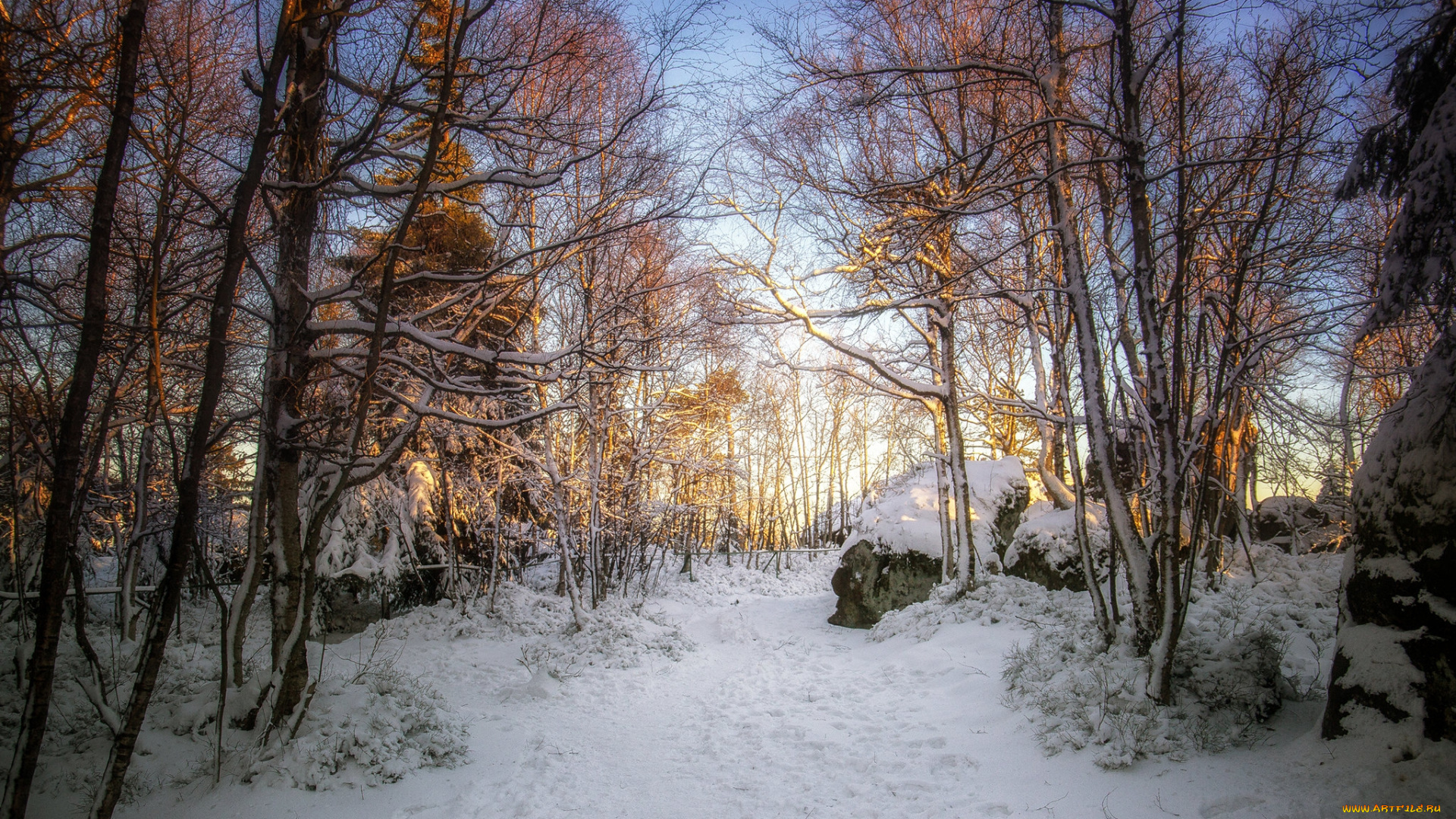 природа, зима, простор