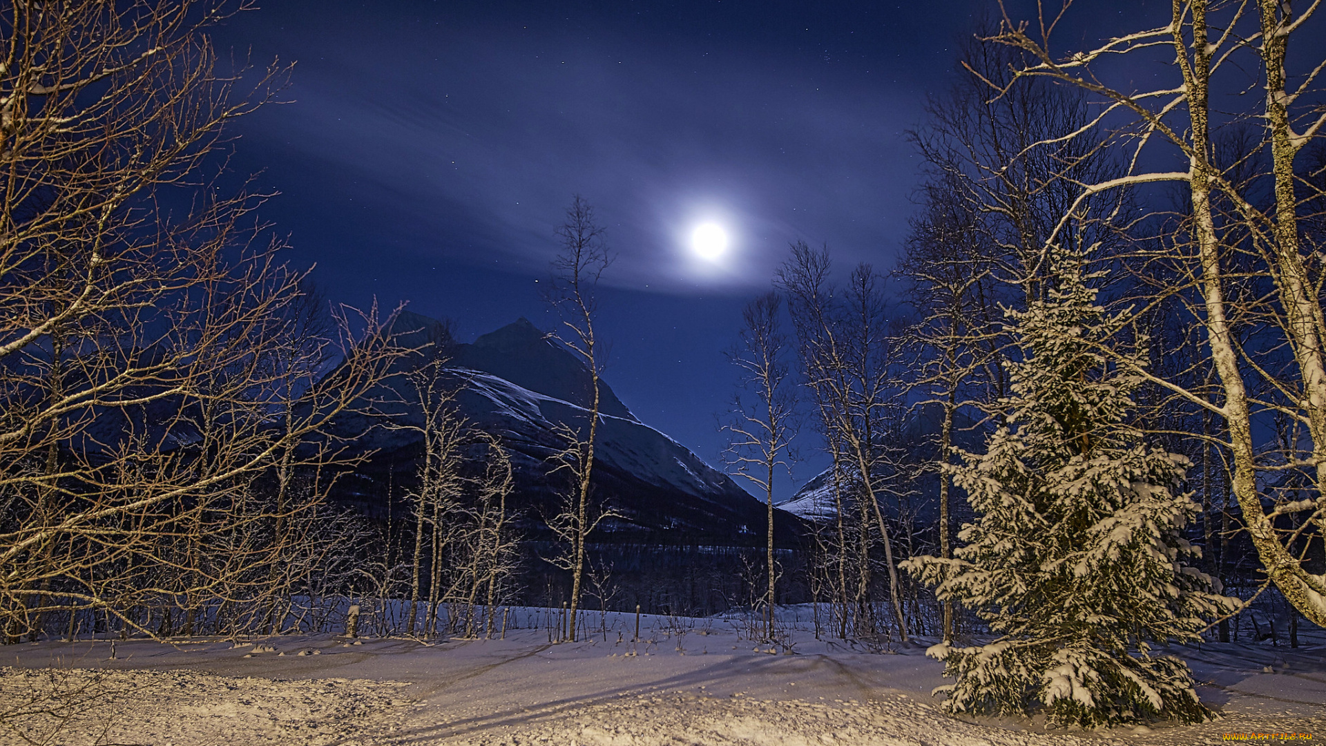 природа, зима, простор