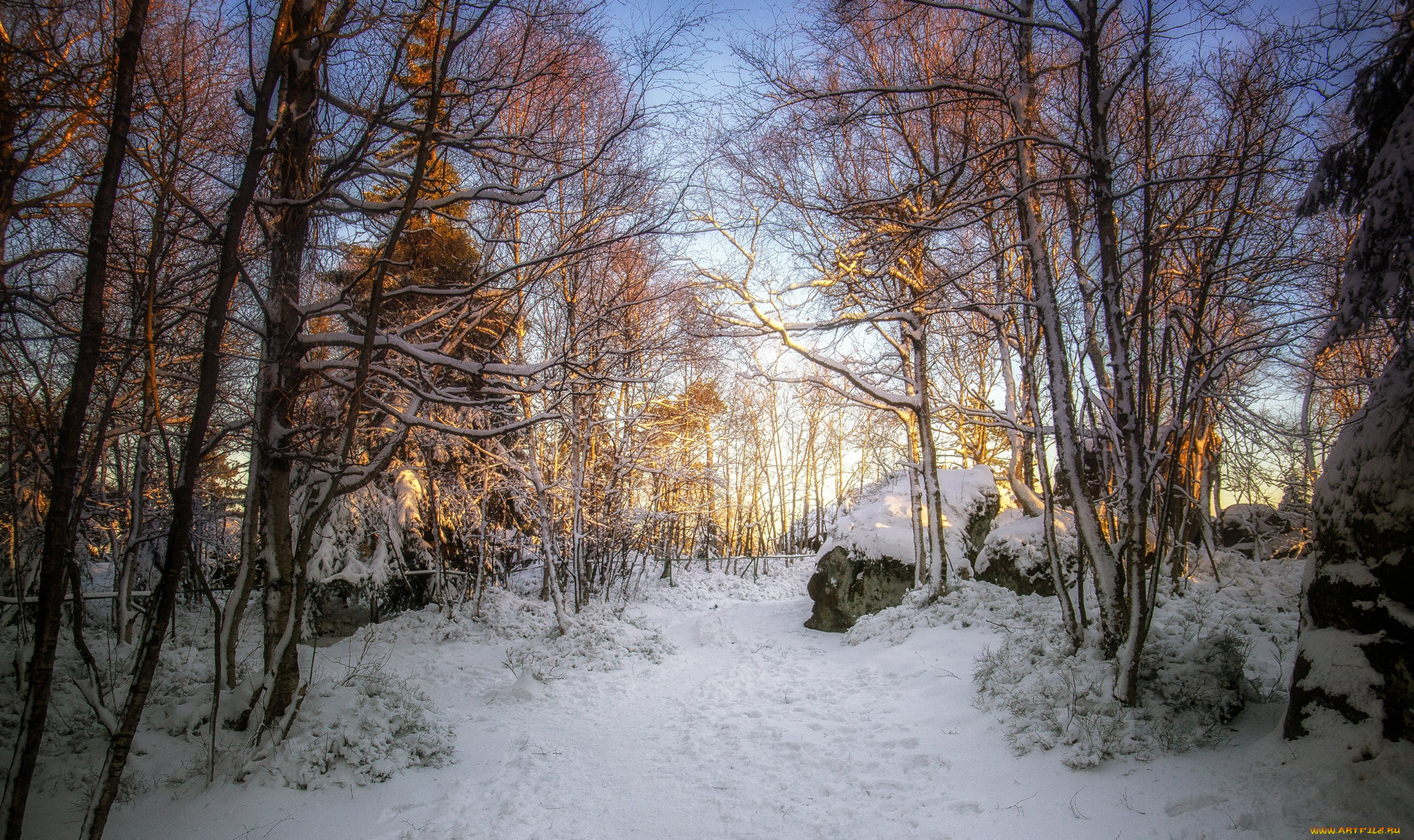 природа, зима, простор