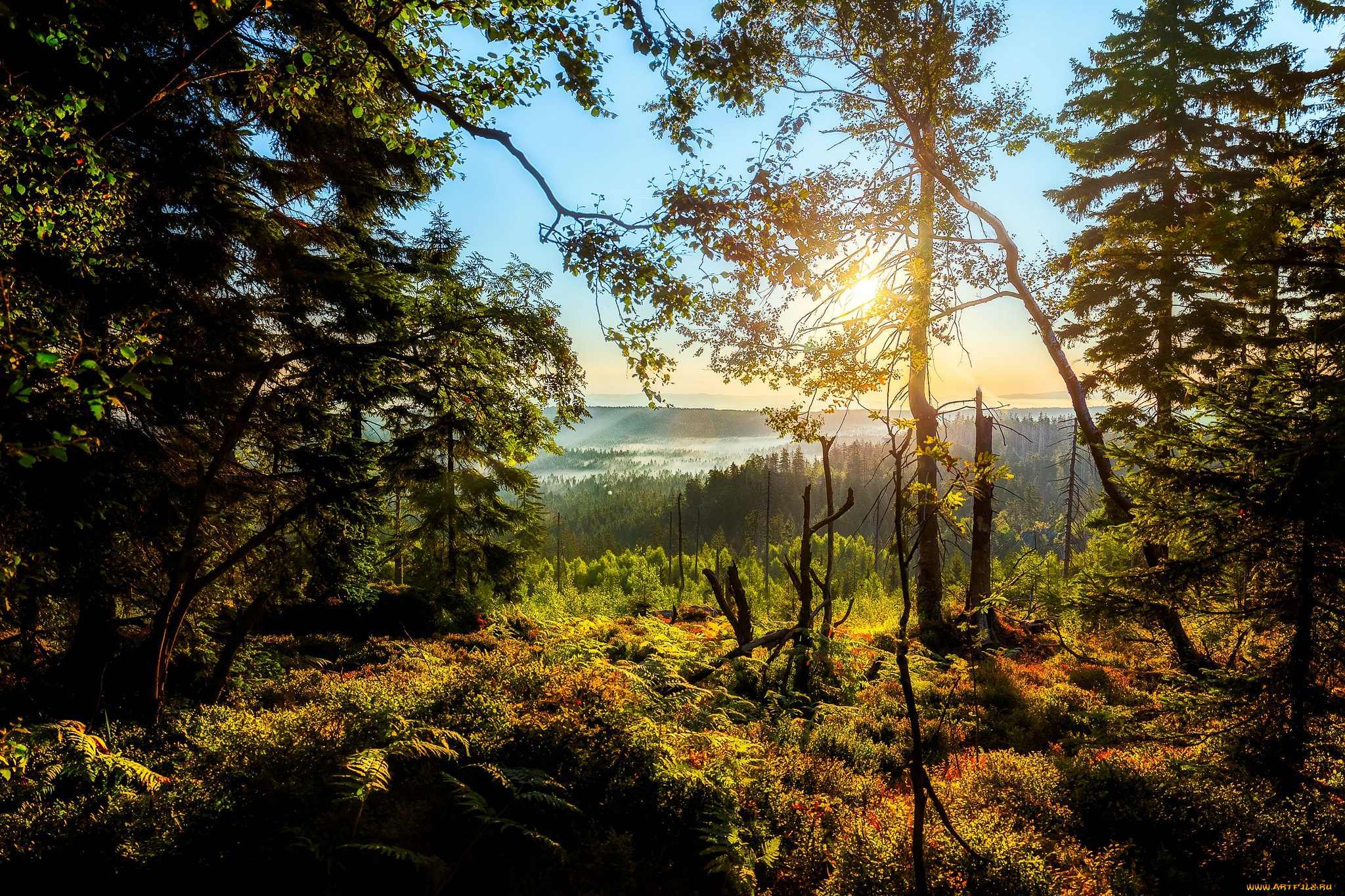 природа, пейзажи, простор