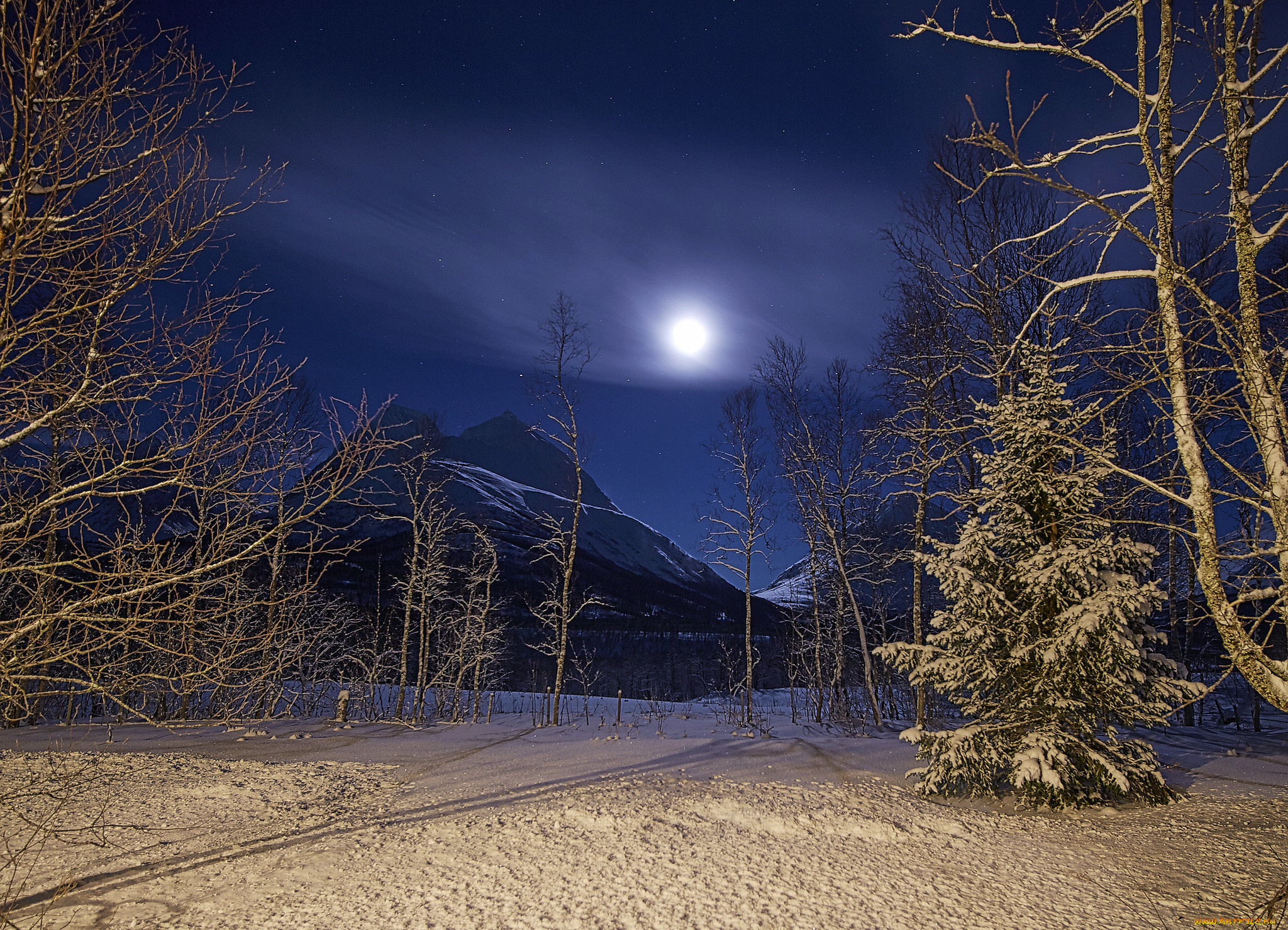 природа, зима, простор