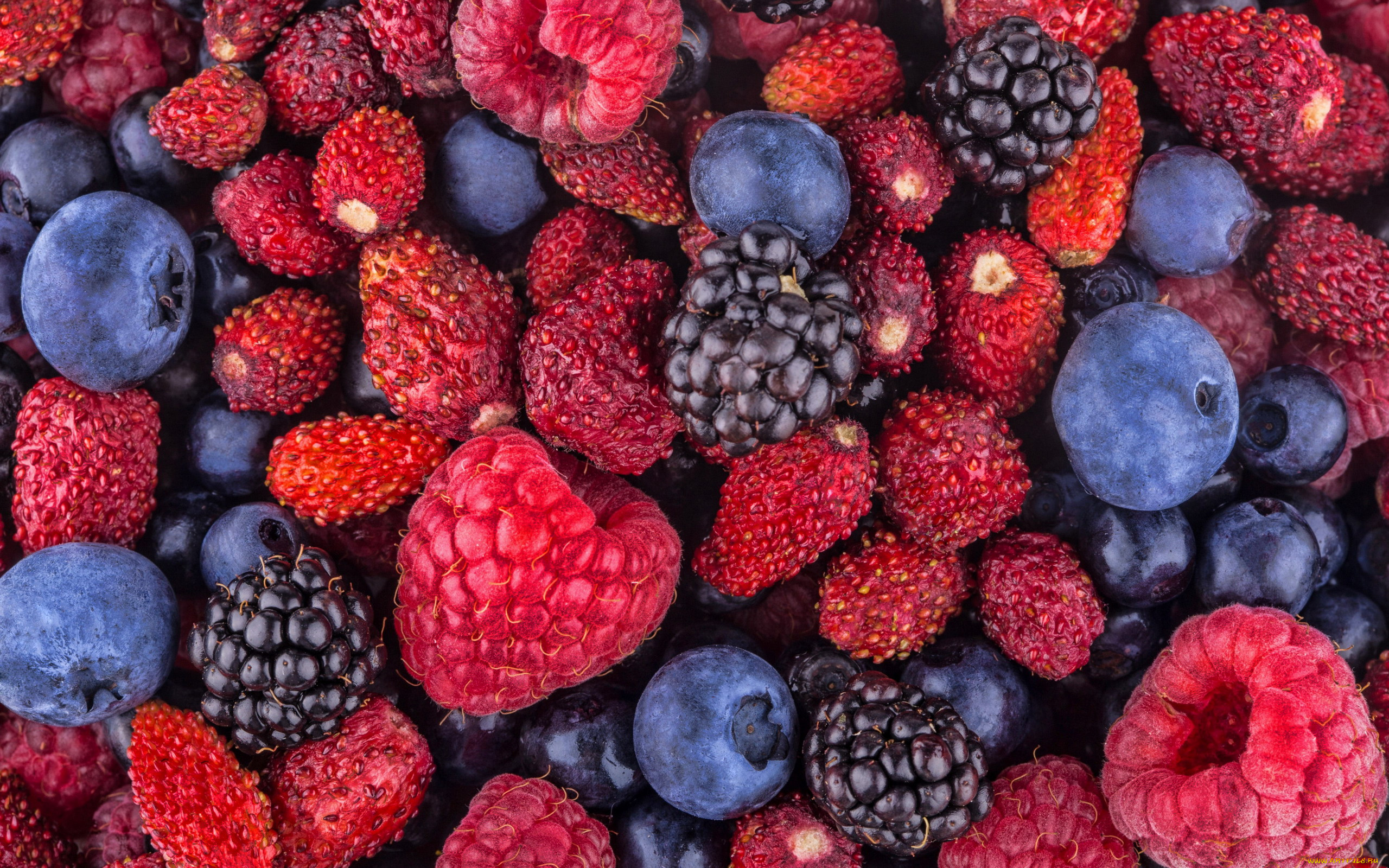 еда, фрукты, , ягоды, земляника, черника, ежевика, малина