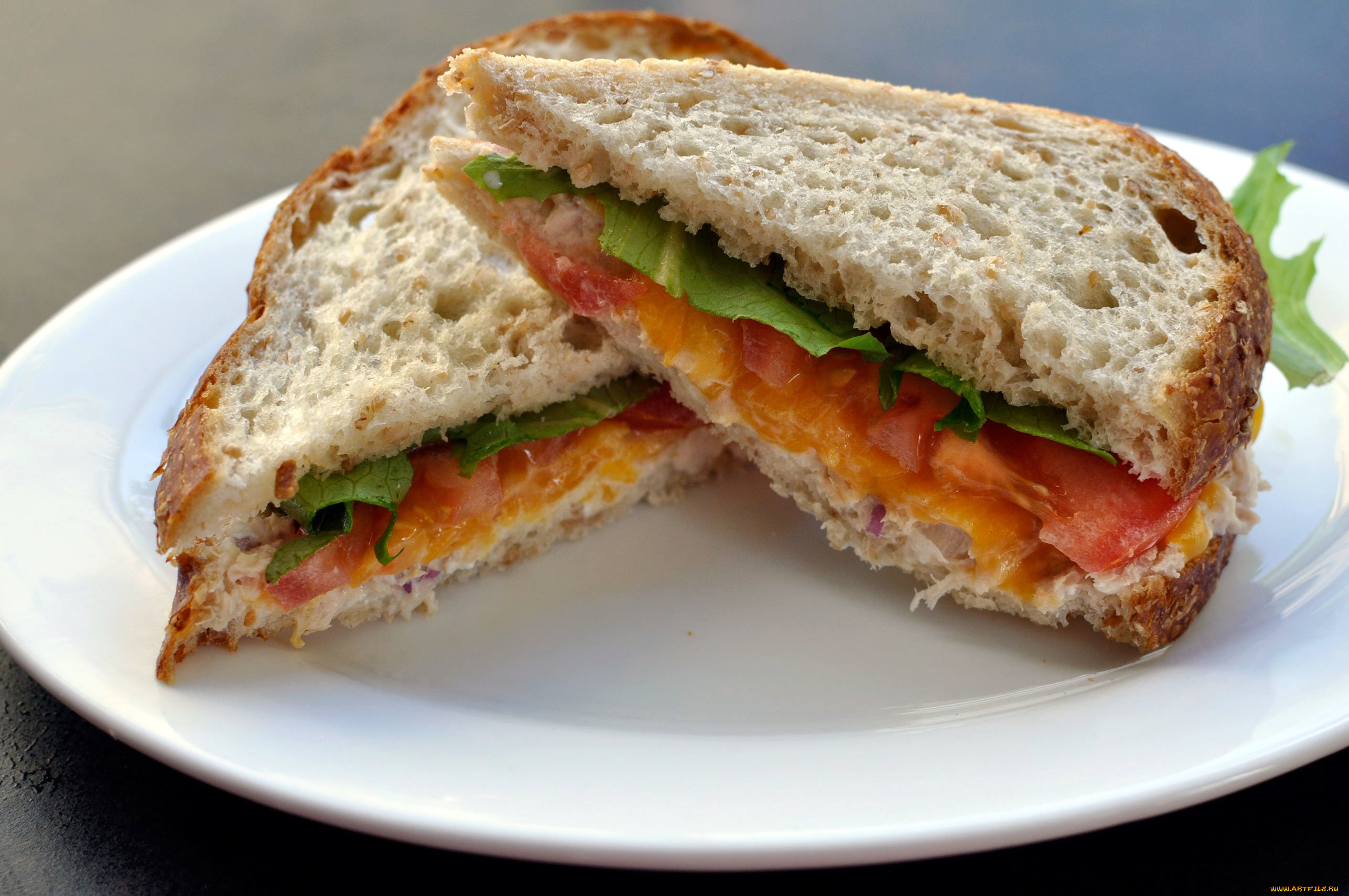 еда, бутерброды, , гамбургеры, , канапе, сэндвич