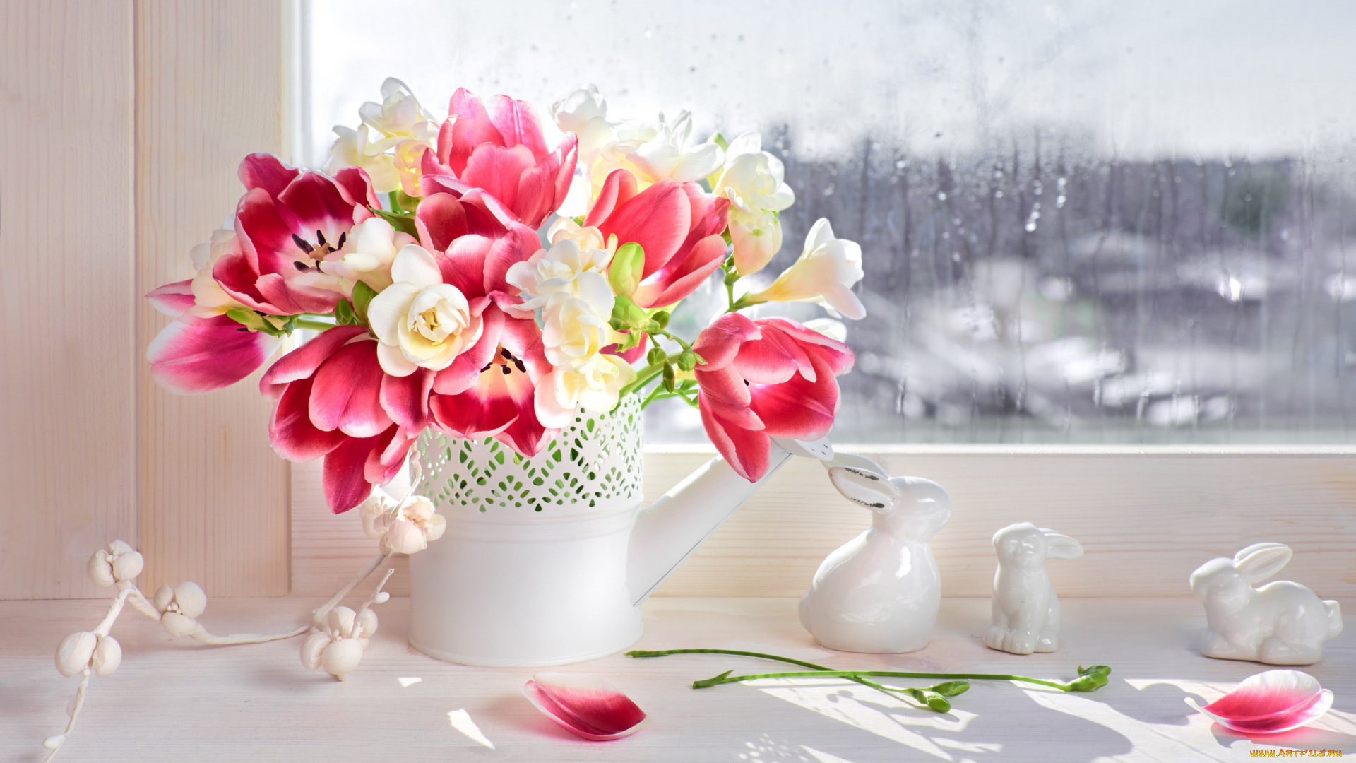 цветы, букеты, , композиции, фрезия, тюльпан