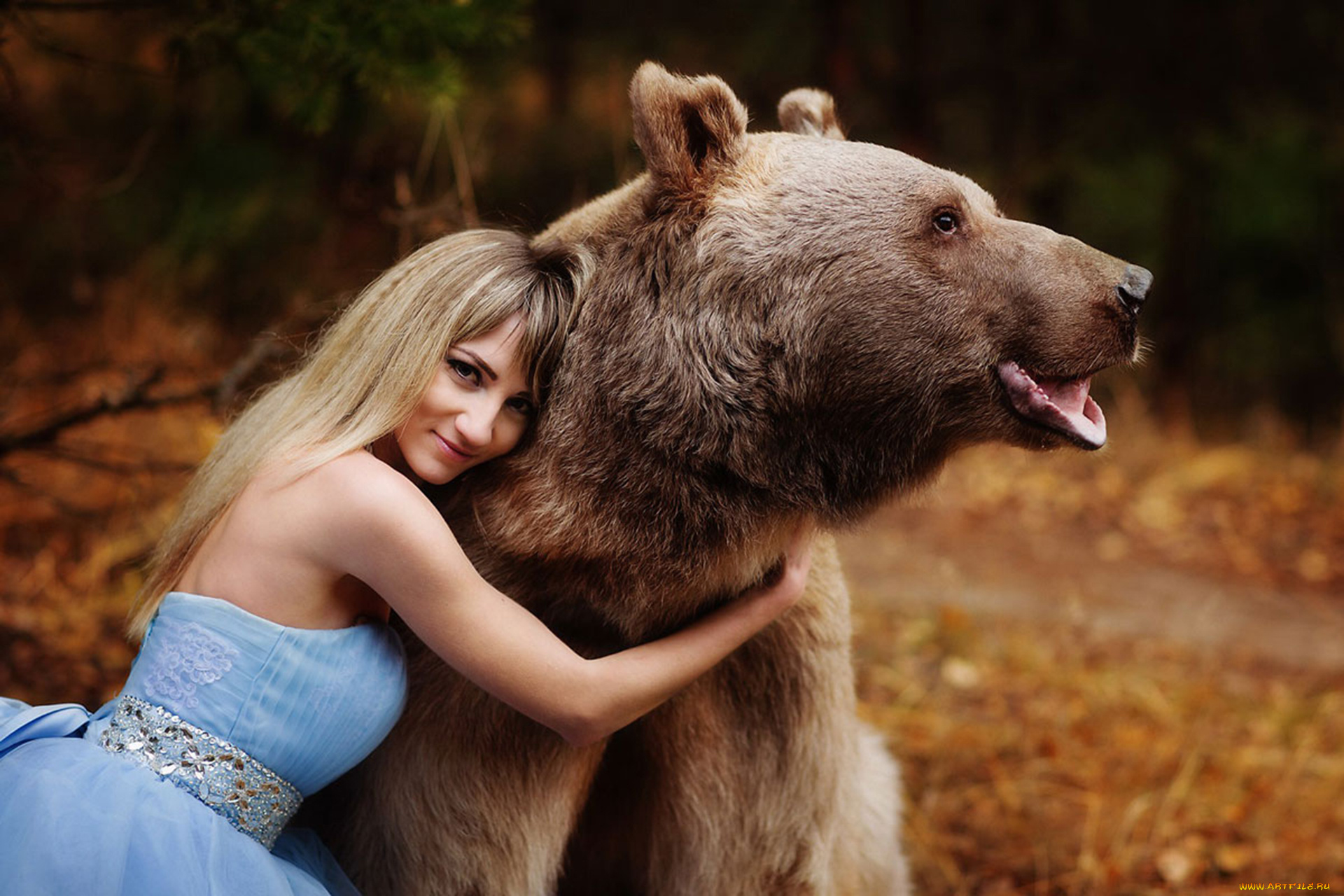девушки, -, блондинки, , светловолосые, девушка, медведь, животное, бурый, хищник, блондинка, поза, красотка, веснушки, друзья, степан, лес, дремучий, деревья