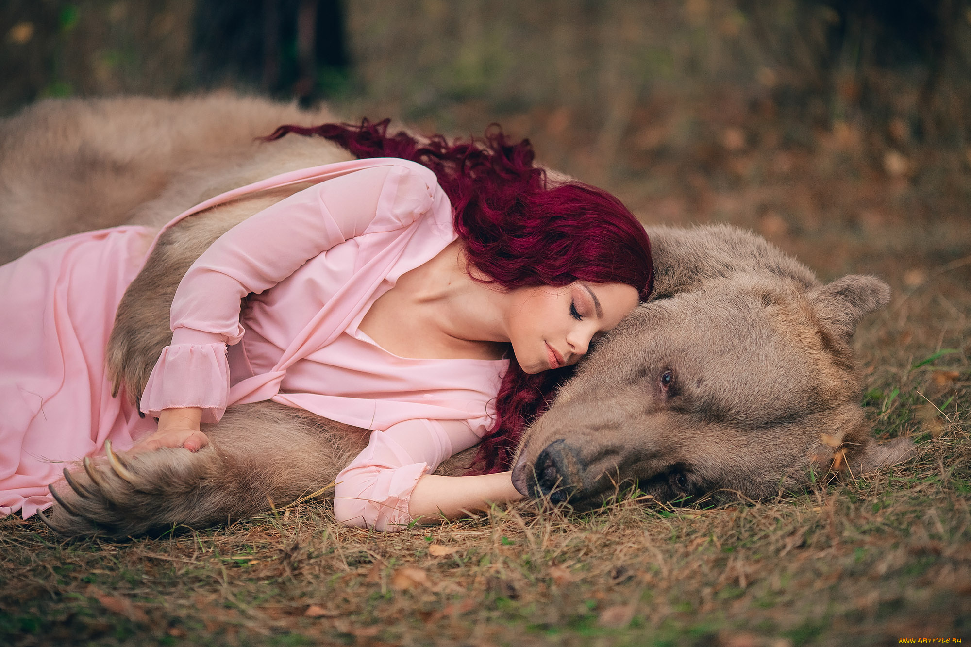 девушки, -, рыжеволосые, и, разноцветные, девушка, медведь, животное, бурый, хищник, крашеная, сиреневый, поза, красотка, веснушки, друзья, степан, лес, дремучий, деревья