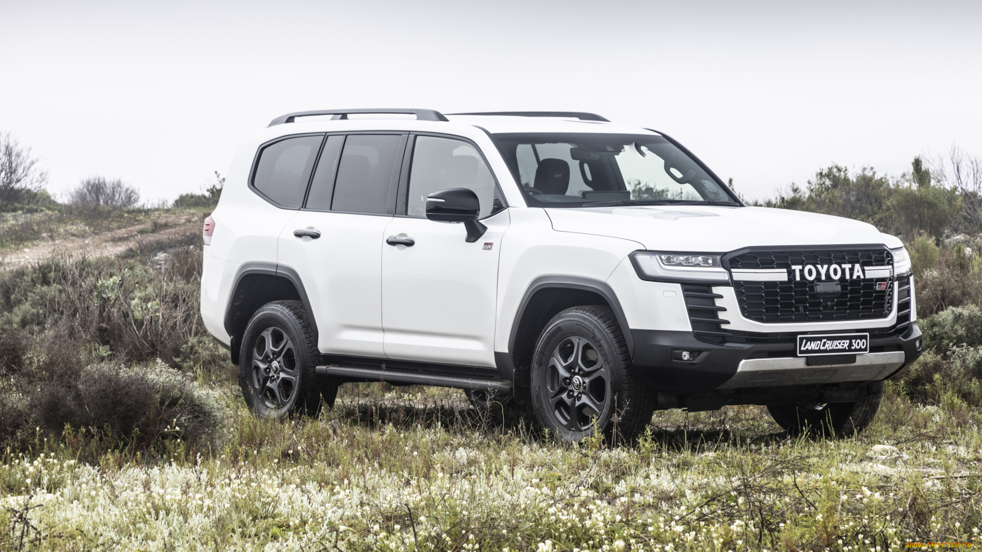 автомобили, toyota