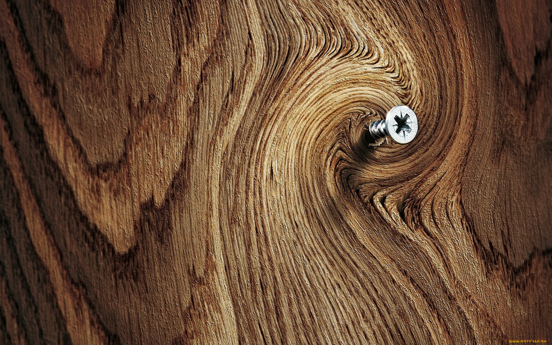 разное, текстуры, доска, шуруп