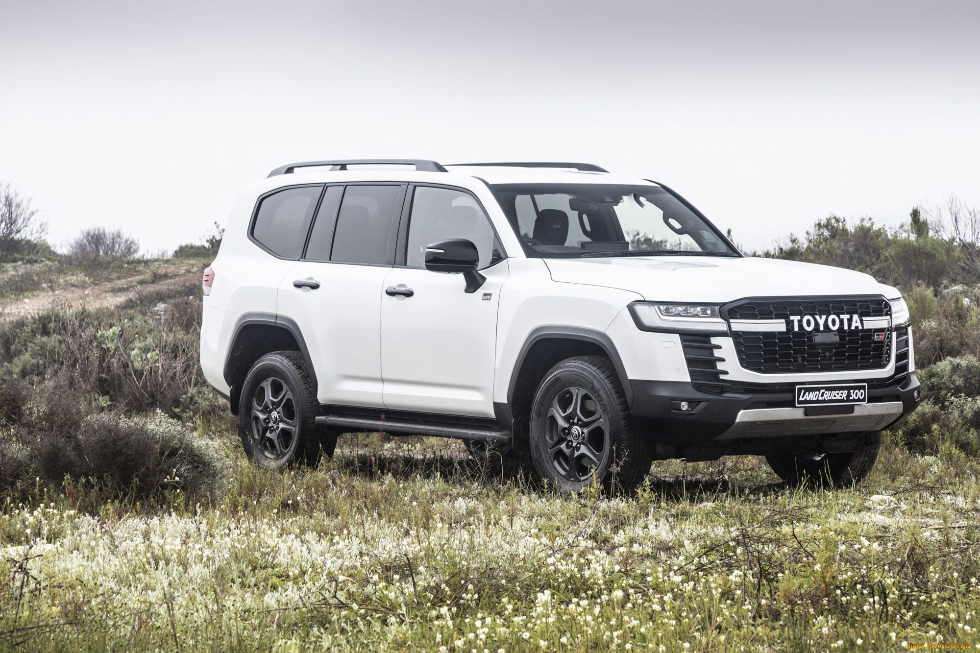 автомобили, toyota