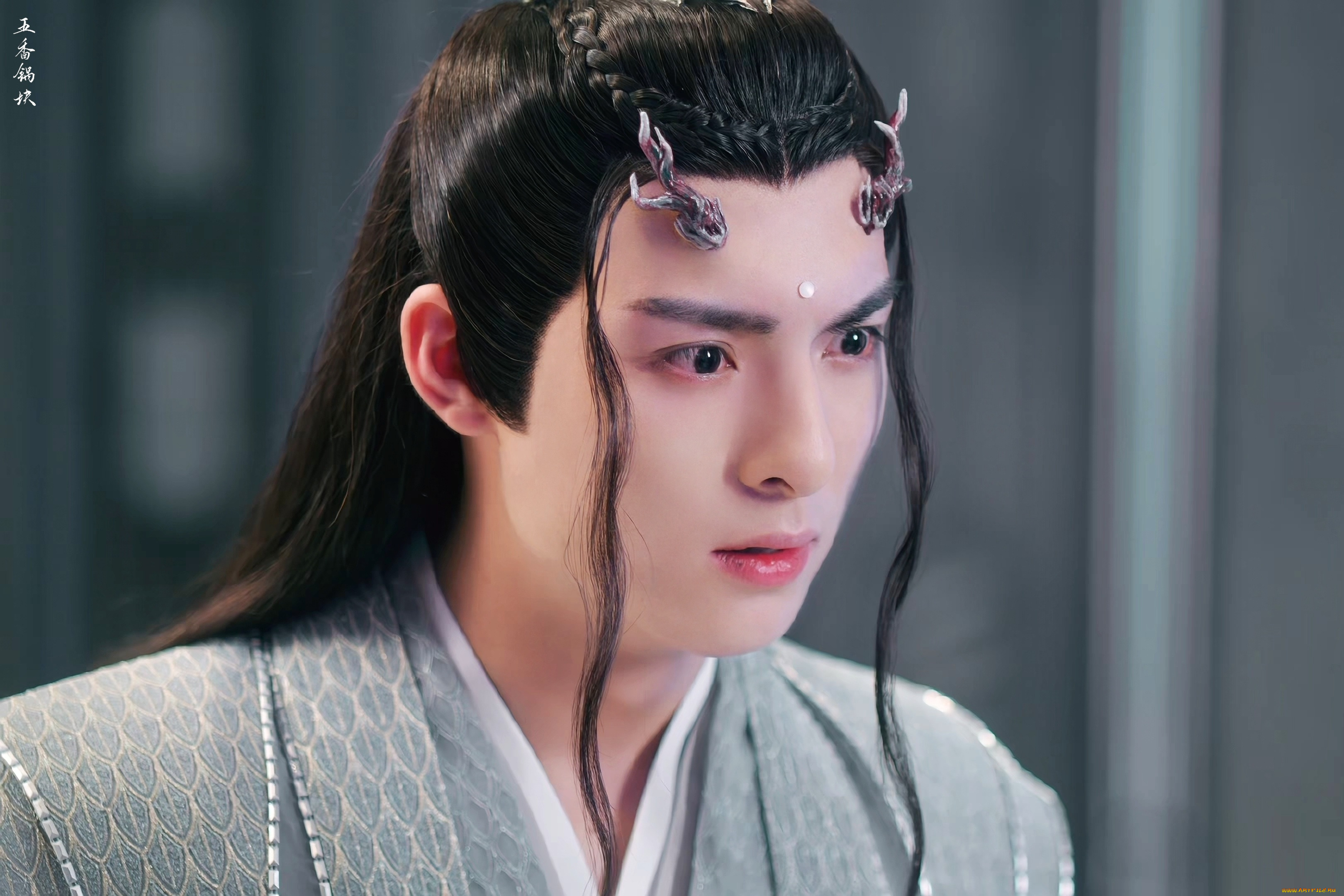 кино, фильмы, immortal, samsara, ван, хао, сюань, вечная, самсара, щепки, агарового, дерева