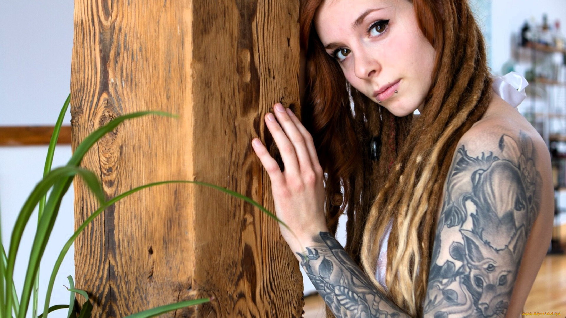 fennek, девушки, -, рыжеволосые, и, разноцветные, рыжая, тату, столб