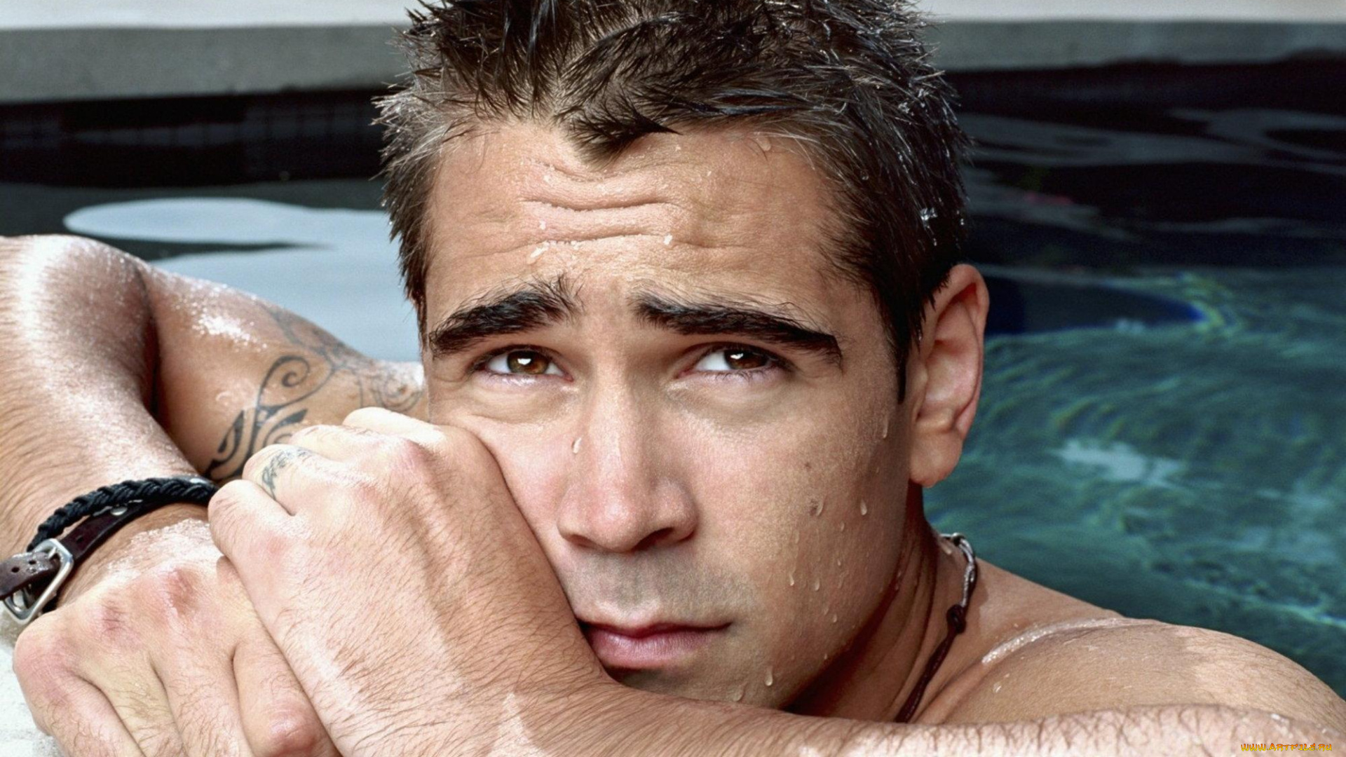 мужчины, colin, farrell, актер, тату, вода, бассейн