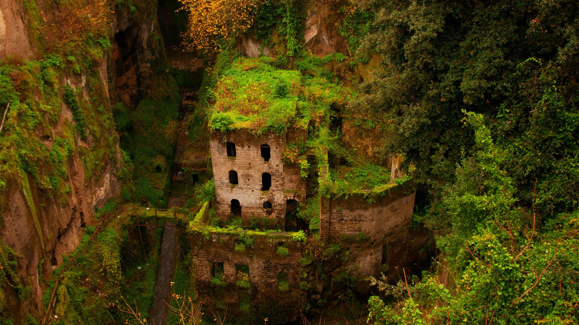 разное, развалины, , руины, , металлолом, фотография, заброшенное, старое, здание, руины, заросшие, деревья, монастырь, италия, растительность