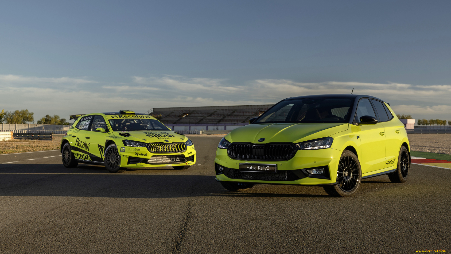 автомобили, skoda