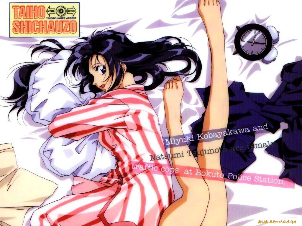 аниме, you`re, under, arrest