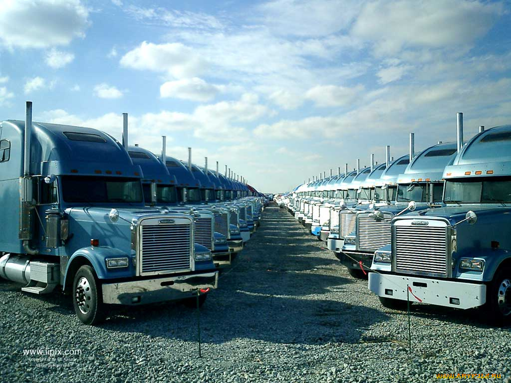 автомобили, freightliner