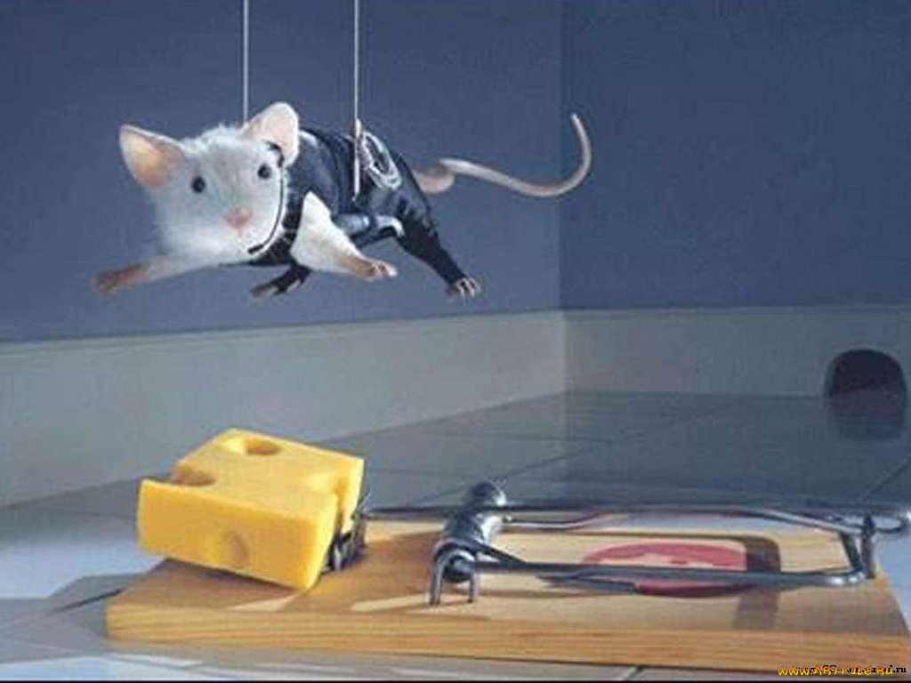 юмор, приколы