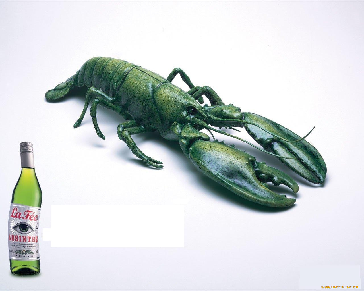 бренды, другое