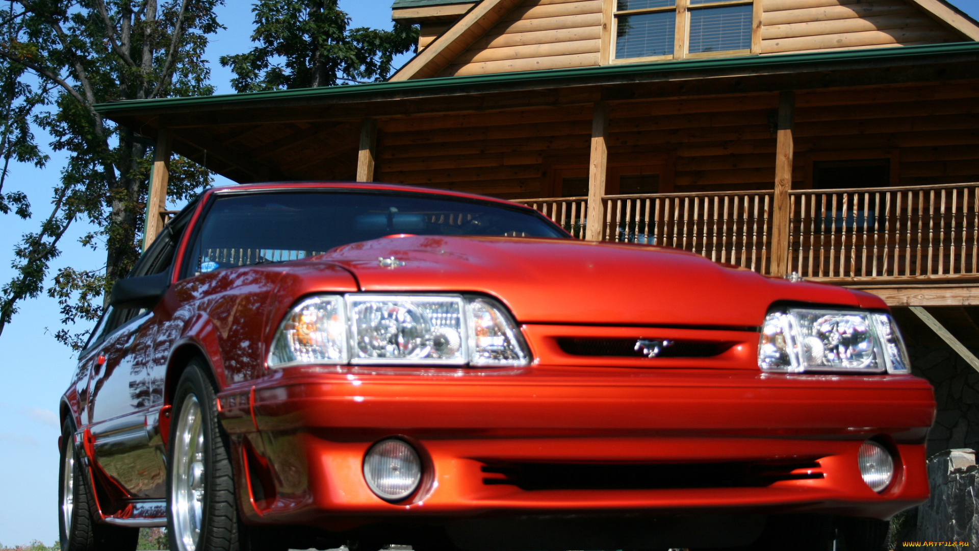 автомобили, mustang