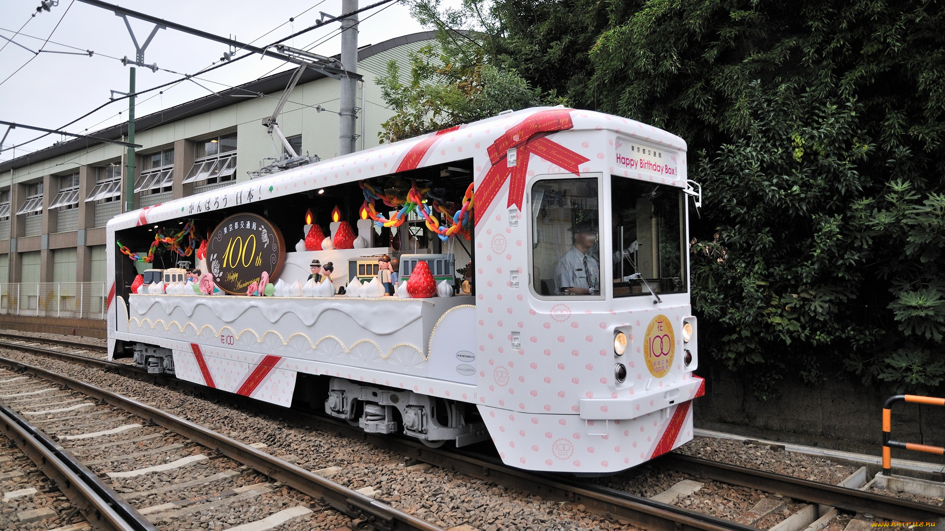 техника, трамваи, белый, трамвай