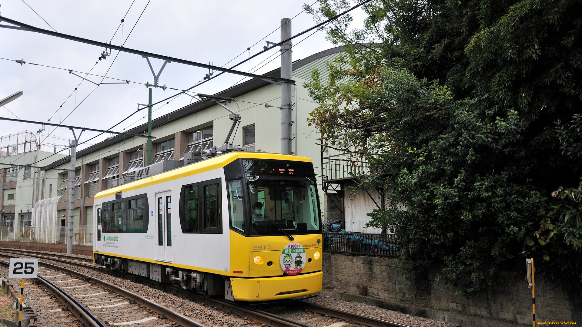 техника, трамваи, жёлтый, белый, трамвай, рельсы