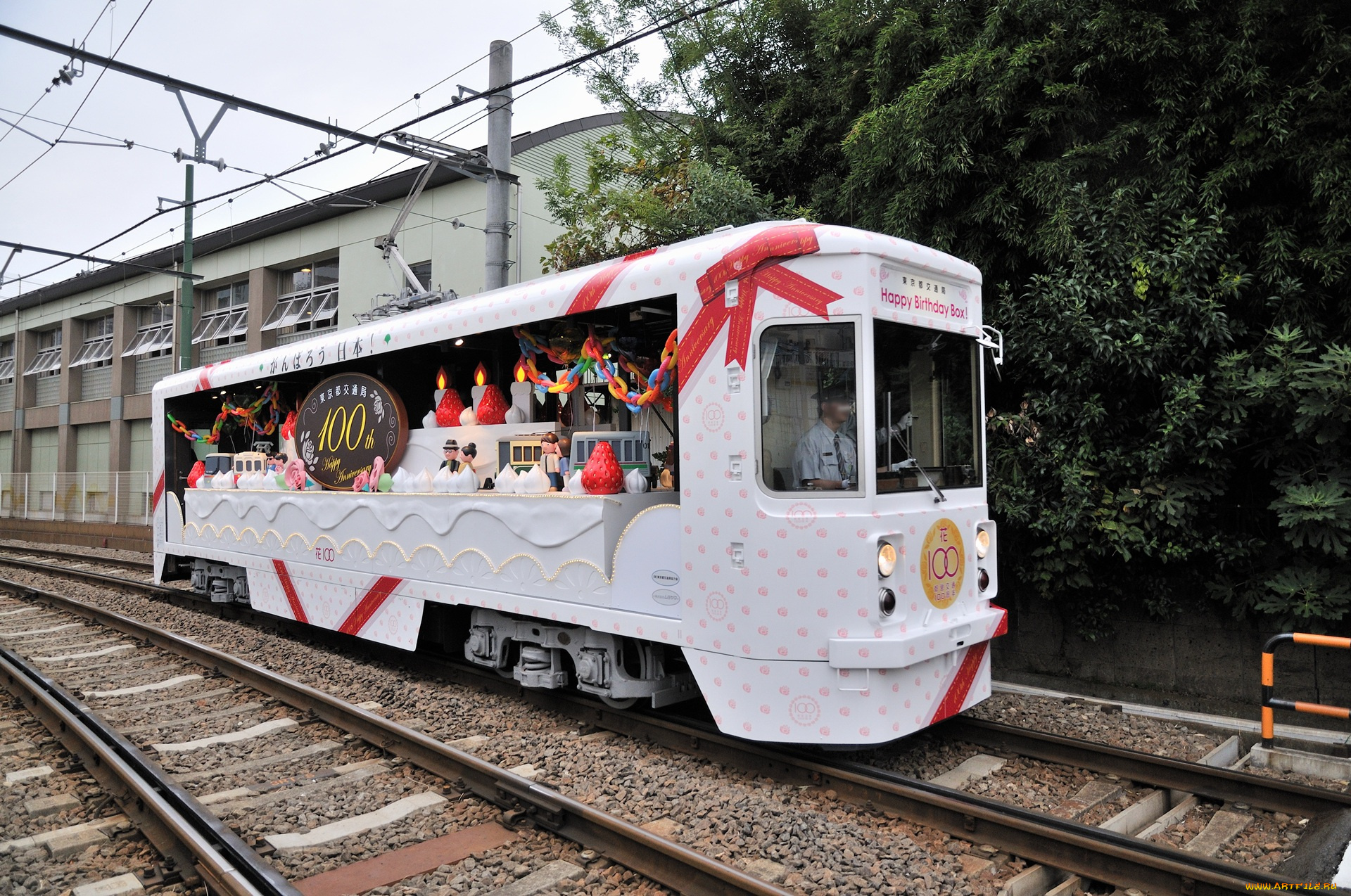 техника, трамваи, белый, трамвай