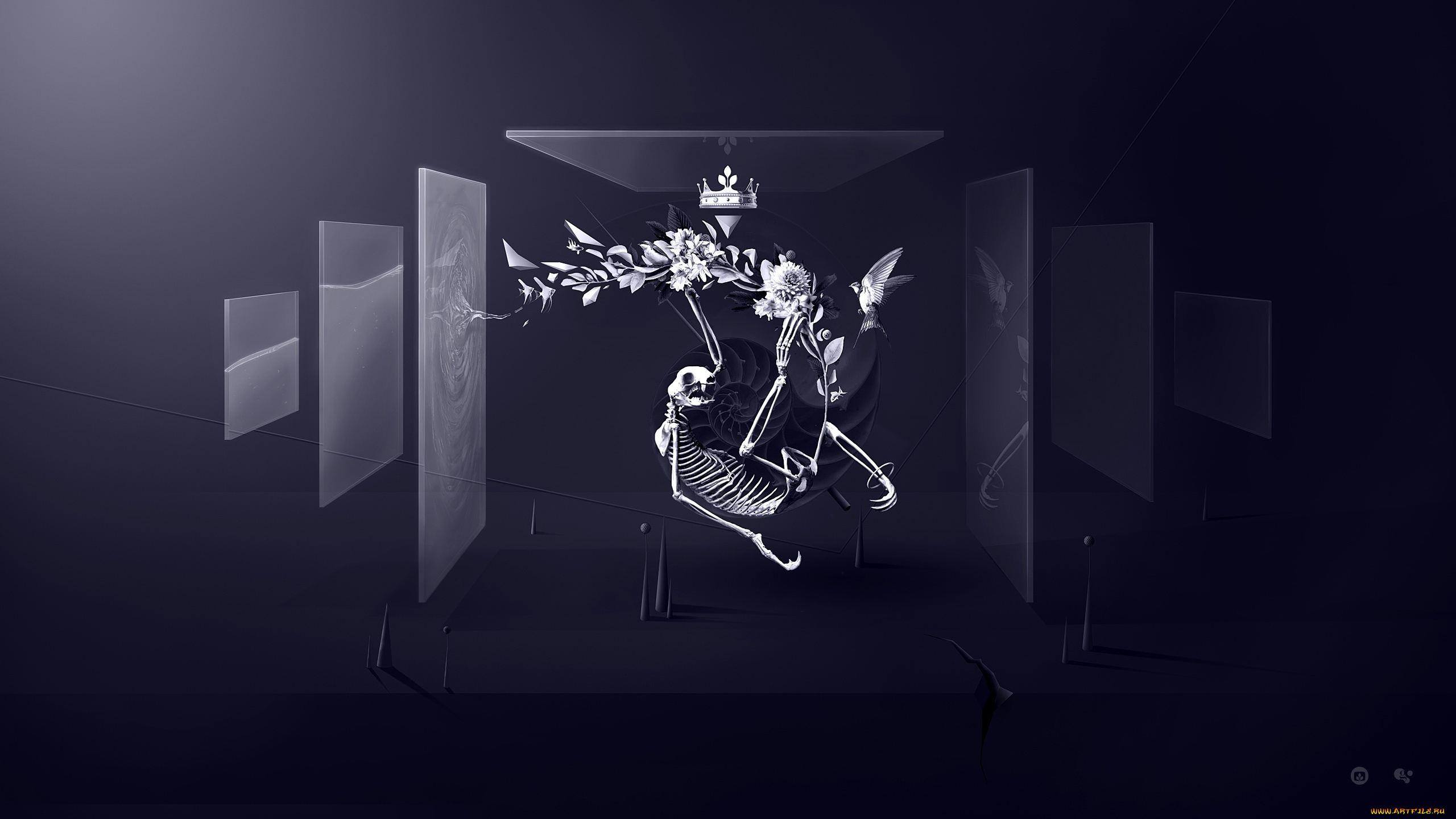 3д, графика, horror, ужас, скелет, desktopography, цветы, корона, стёкла, птица