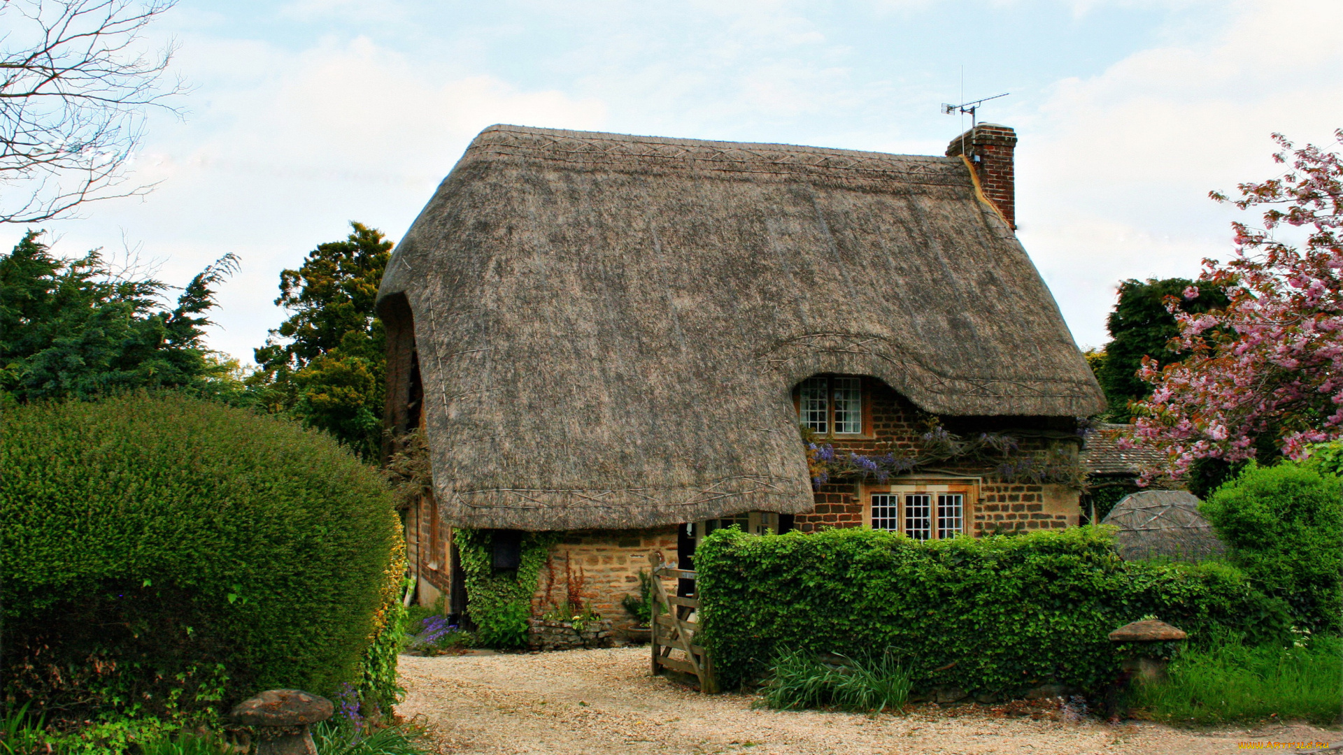 calne, wiltshire, великобритания, города, здания, дома, ландшафт, сад, дом