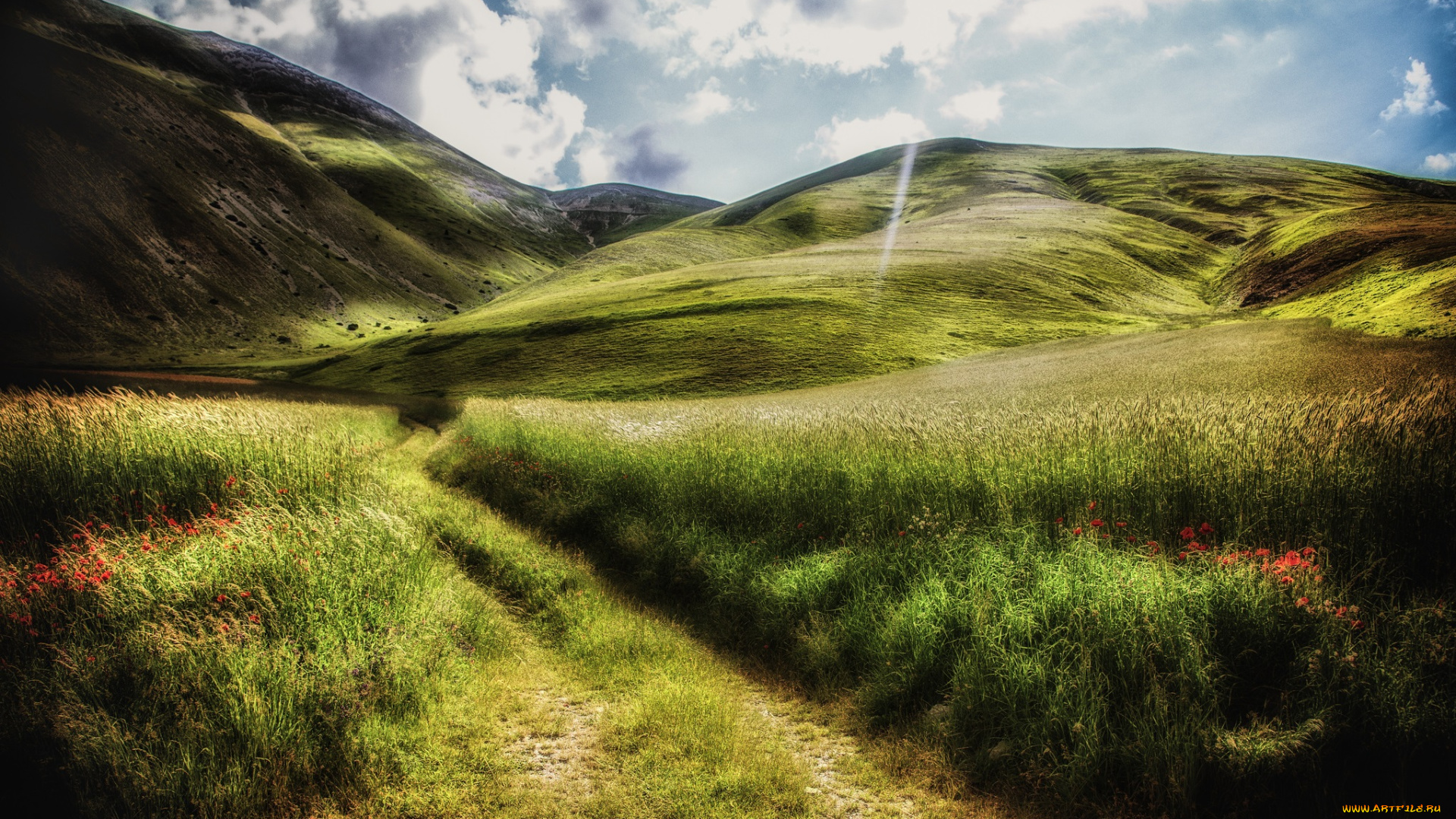 природа, горы, поле, холмы, трава, цветы, дорога, облака