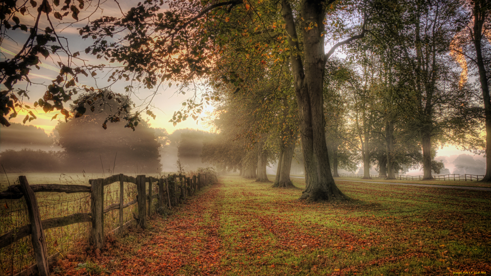 природа, пейзажи, осень, туман, забор, трава, деревья