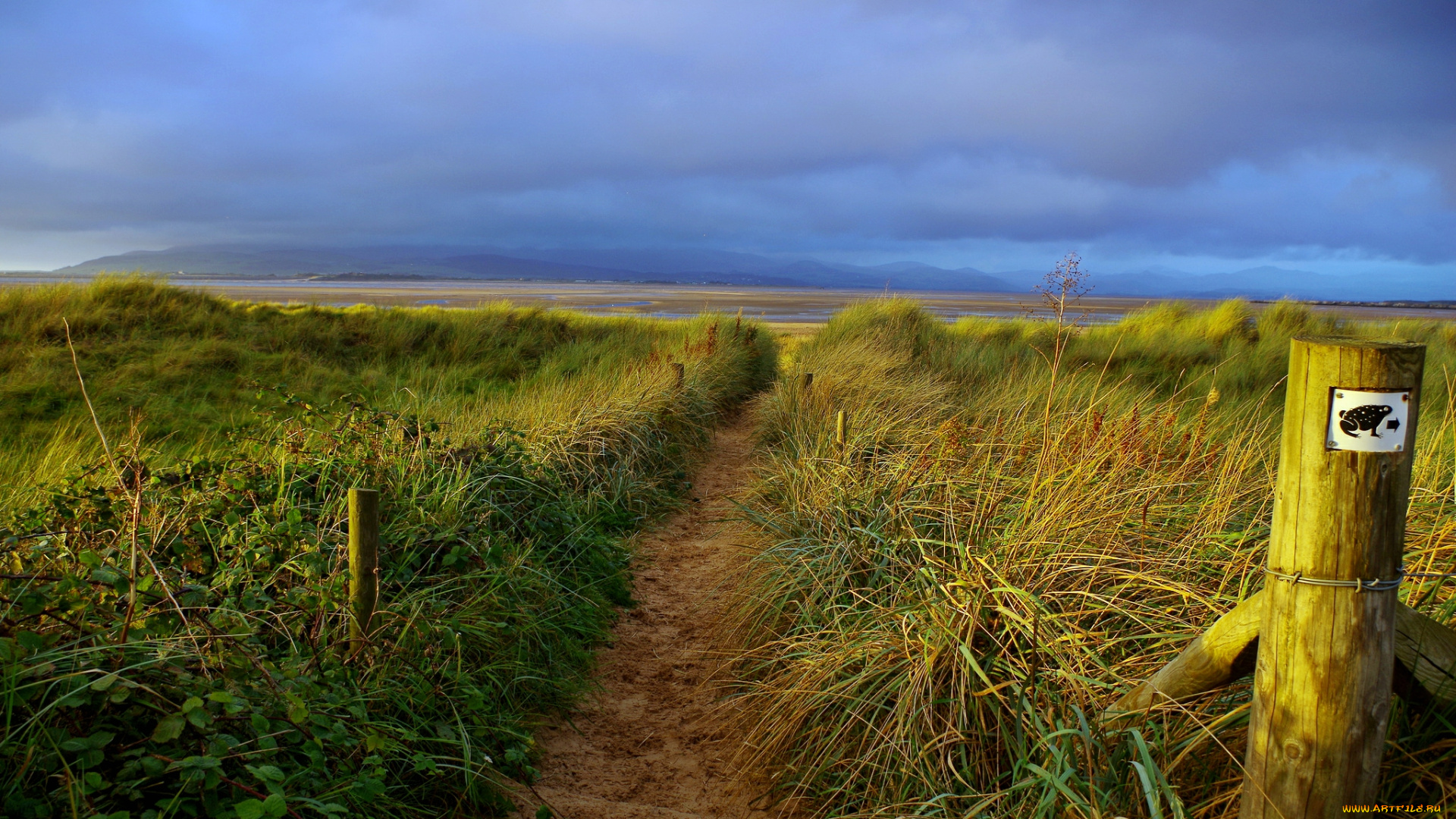 природа, побережье, берег, луг, трава, изгородь, тучи