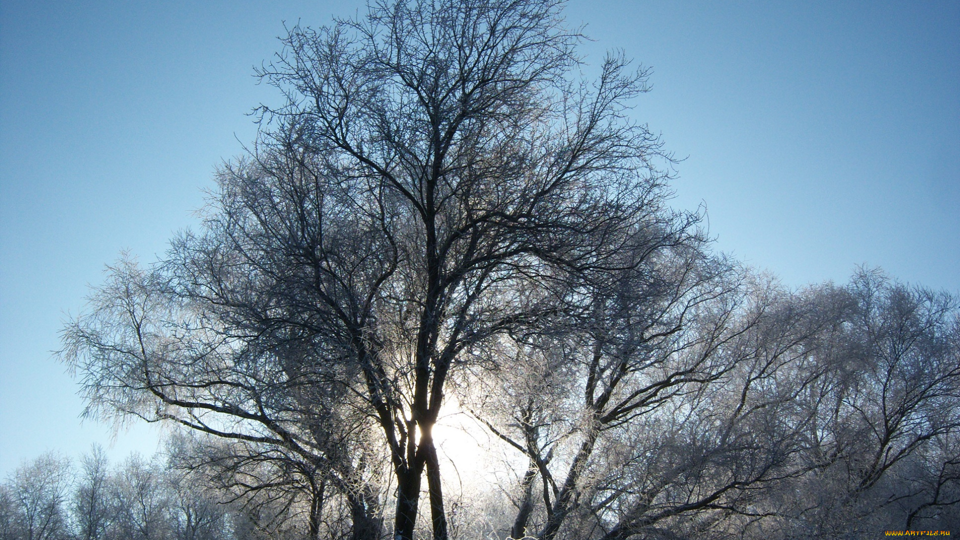 природа, зима