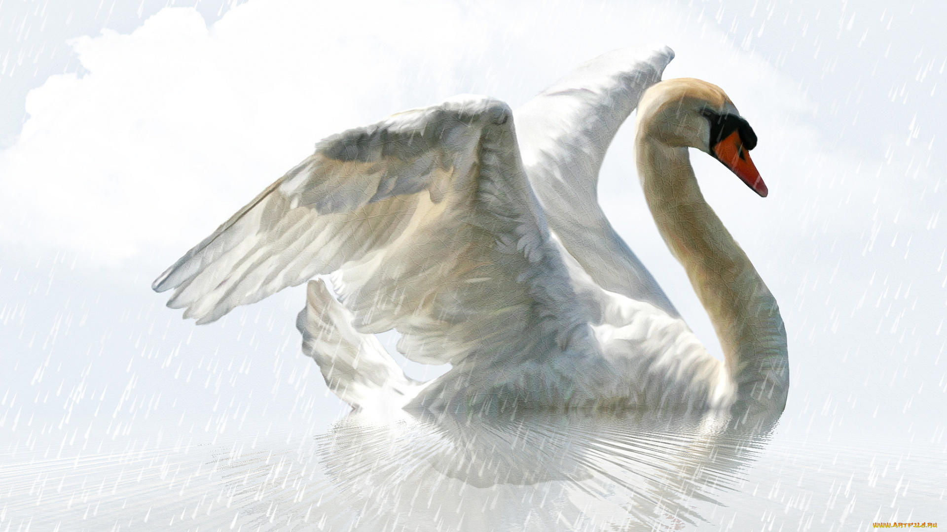 разное, компьютерный, дизайн, дождь, лебедь