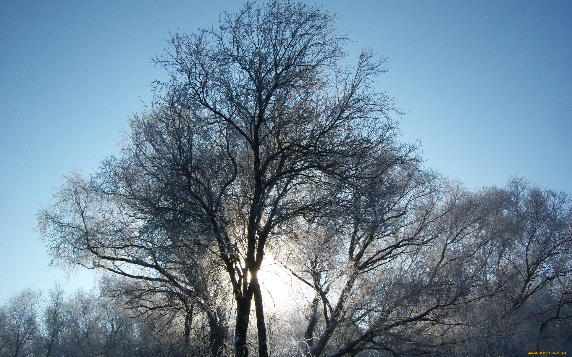 природа, зима