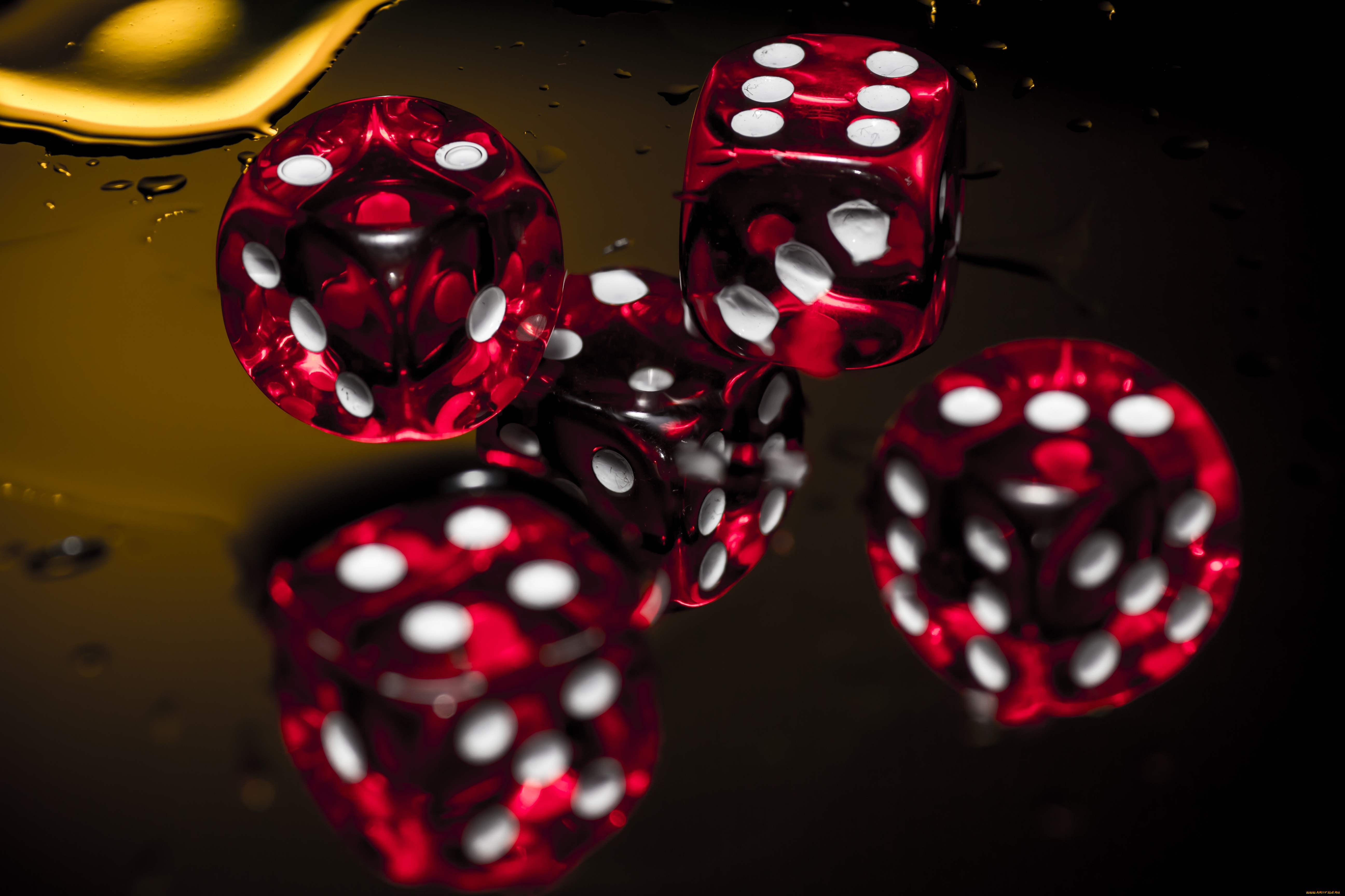 разное, настольные, игры, азартные, кости, игра