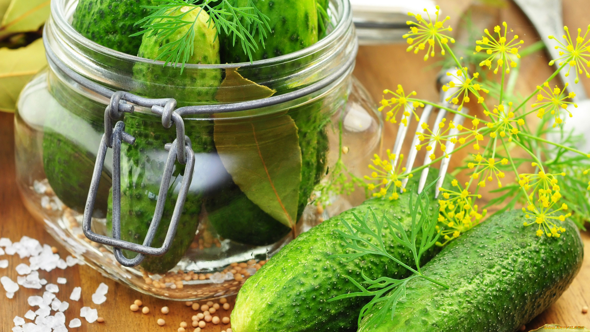 еда, огурцы, овощи, банка