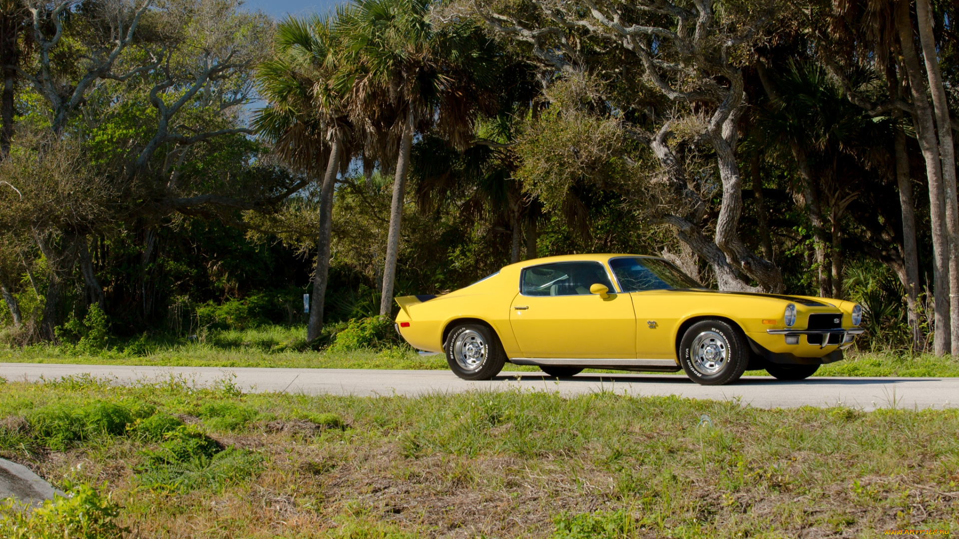 автомобили, camaro