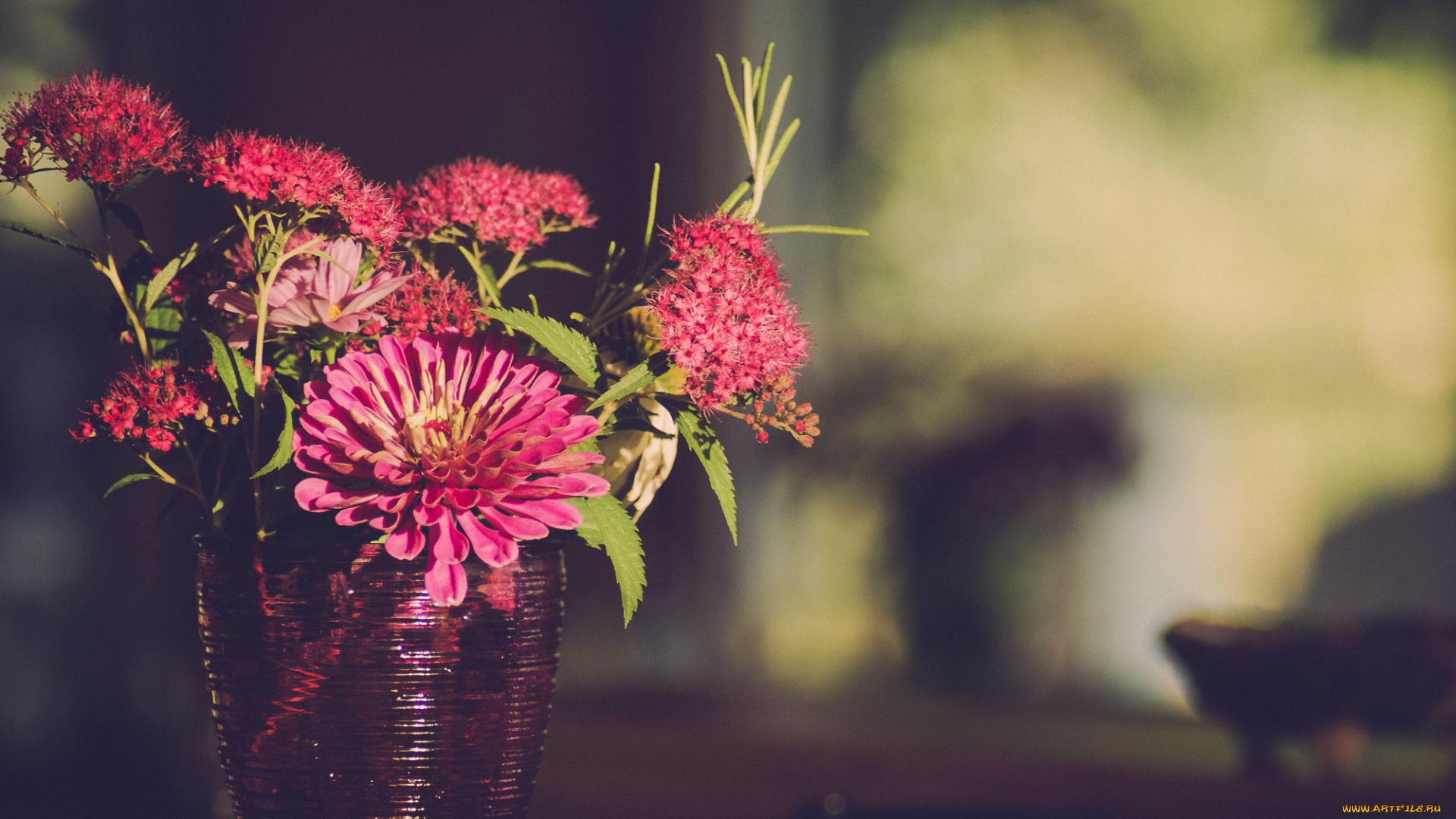 цветы, букеты, , композиции, ваза, цинния, букет