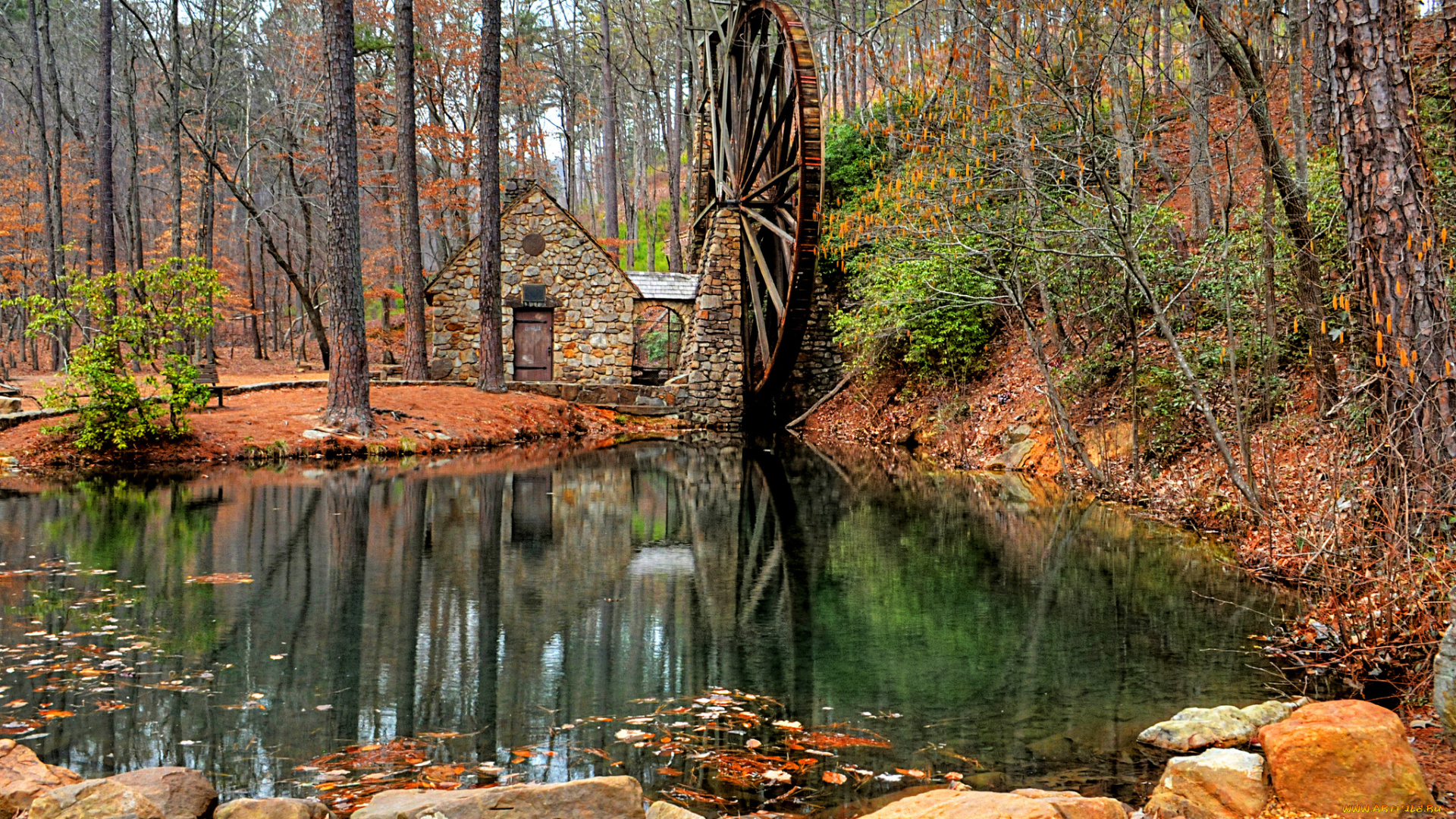 разное, мельницы, лес, река