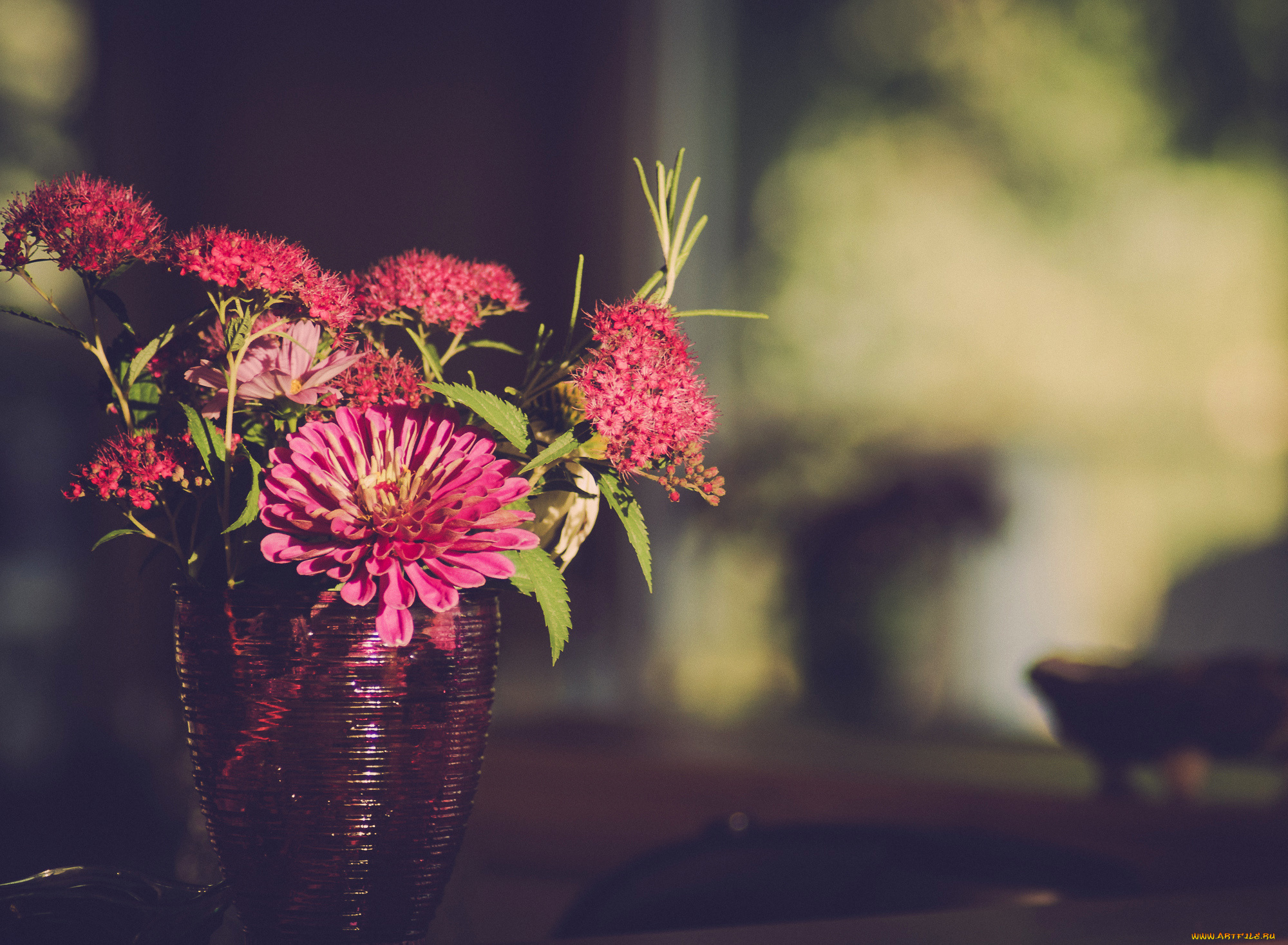 цветы, букеты, , композиции, ваза, цинния, букет