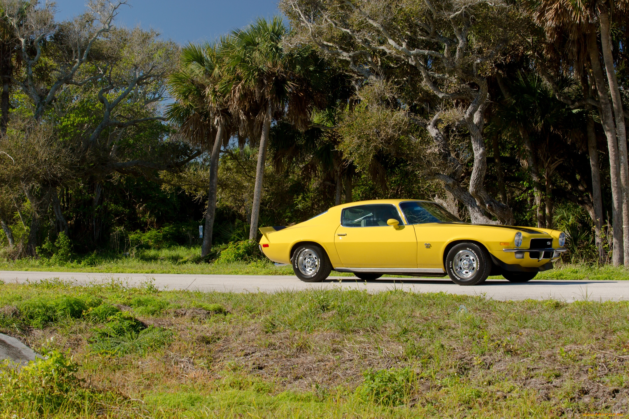 автомобили, camaro