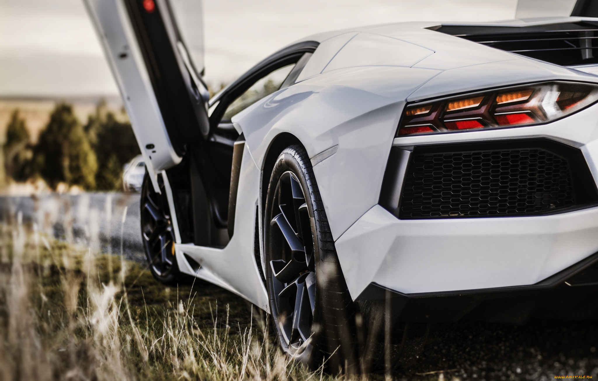 автомобили, фрагменты, автомобиля, lamborghini, трава, белый