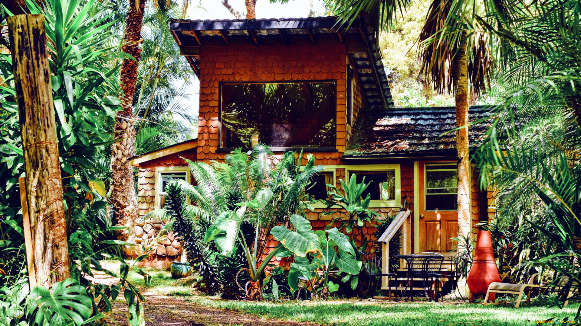 города, -, здания, , дома, пальмы, бунгало