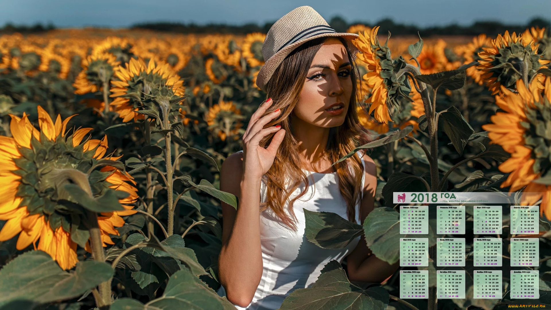 календари, девушки, подсолнух, шляпа, взгляд